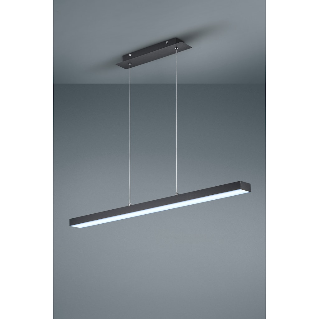 TRIO Leuchten LED Pendelleuchte »Agano«, 1 flammig-flammig, schwarz matt, Pendellampe mit Touch Dimmer, Lichtfarbe einstellbar