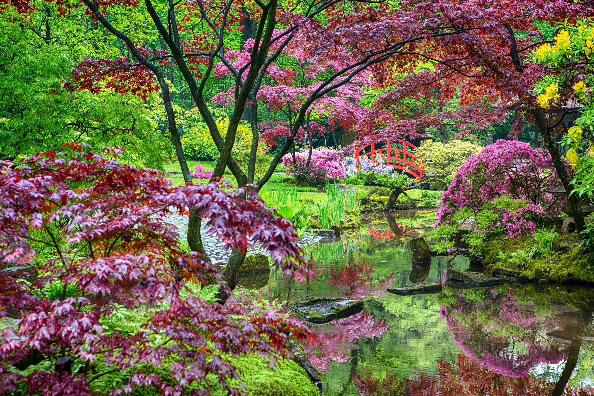 Papermoon Fototapete »GARTEN-BLUMEN BÄUME PFLANZEN PARK STEINE BLÜTEN WALD«