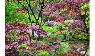 Fototapete »GARTEN-BLUMEN BÄUME PFLANZEN PARK STEINE BLÜTEN WALD«