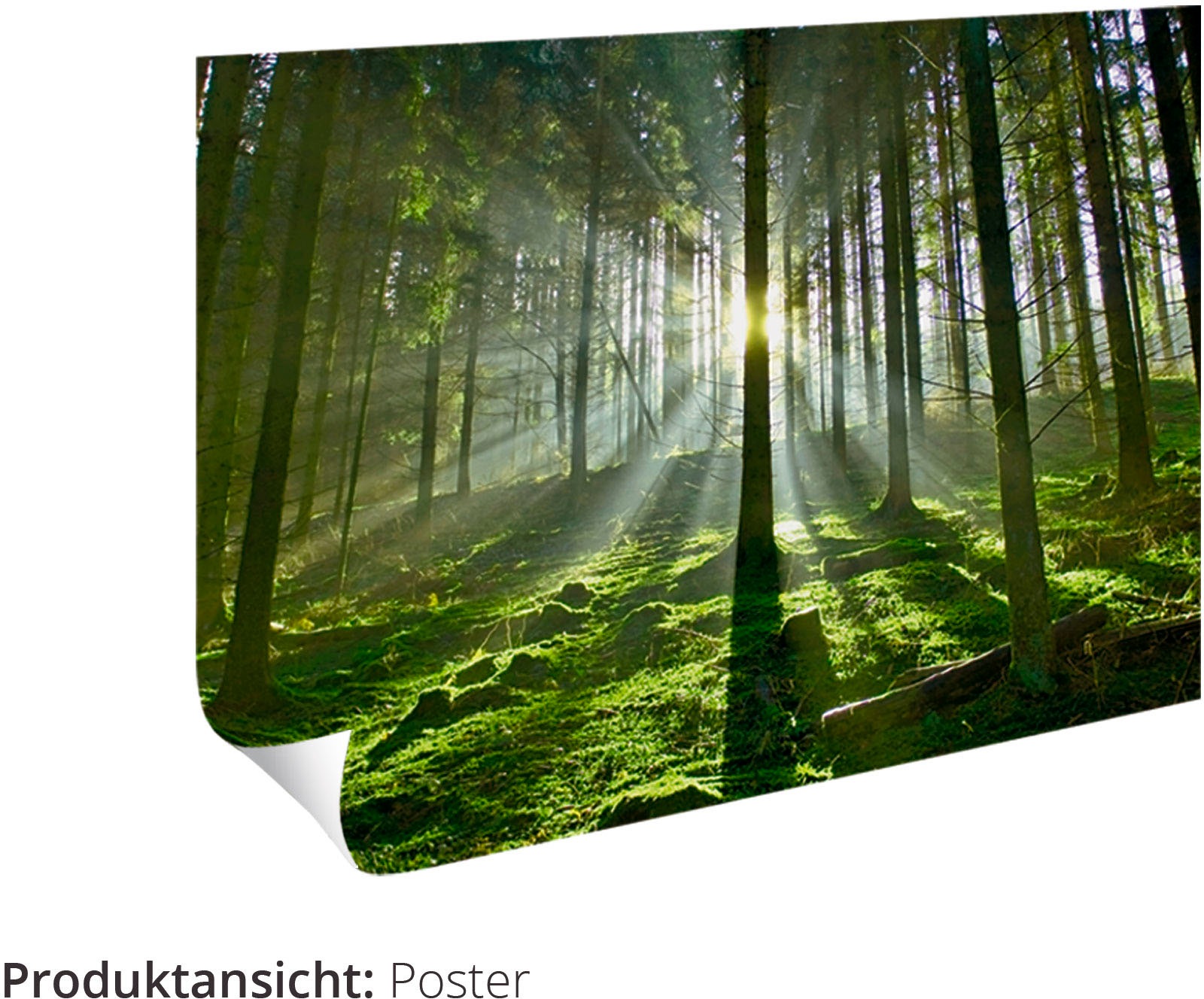 Wandbild ARTLAND "Fenster in der Toskana", beige (farbe bild(er): naturfarben), B:60cm H:45cm, Bilder, als Alubild, Leinwandbild, Poster, Wandaufkleber in verschied. Größen 2