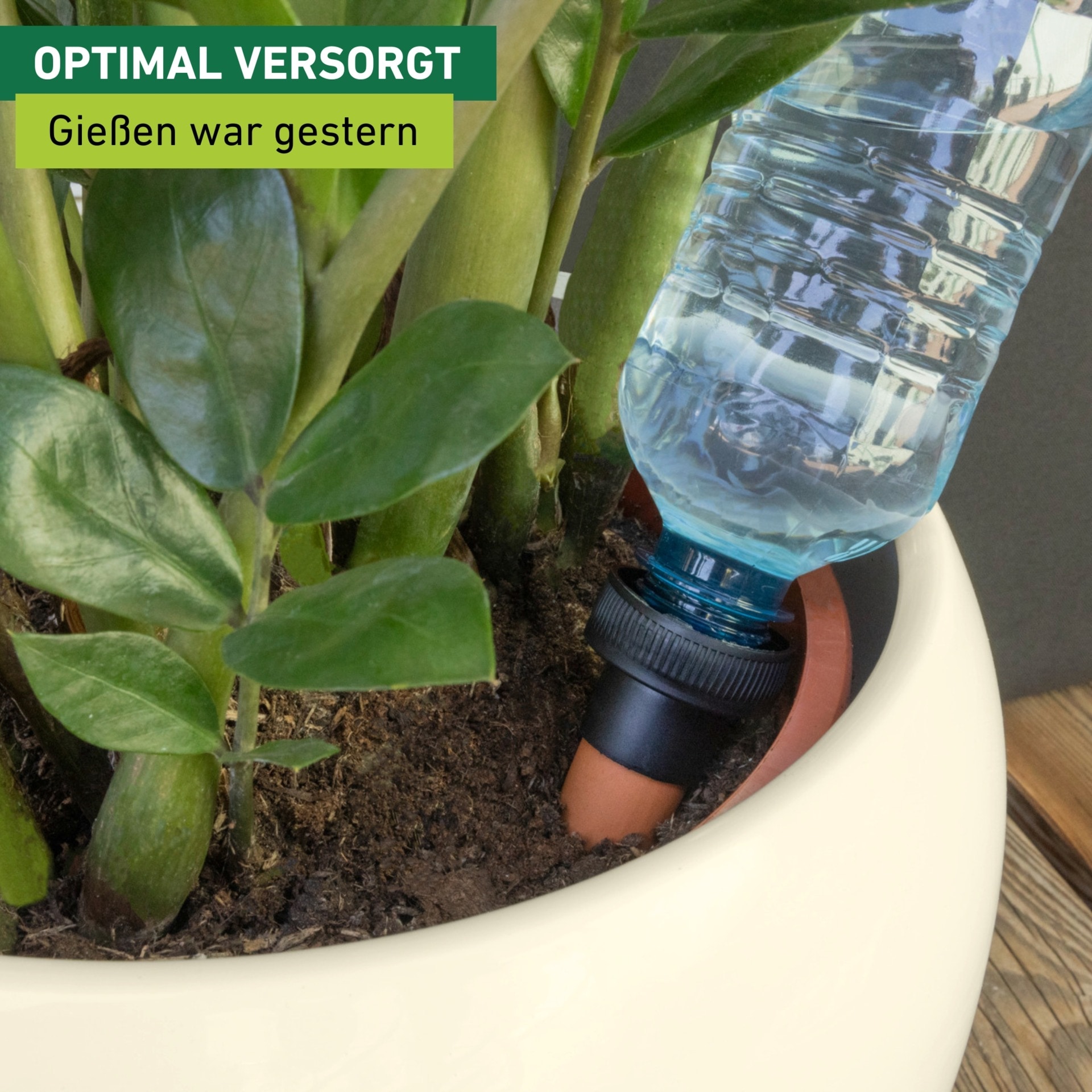 Windhager Tropfer »Wasserspender« (Set, 3 Stk. tlg.)  Flaschenadapter zur konstant dosierten Bewässerung