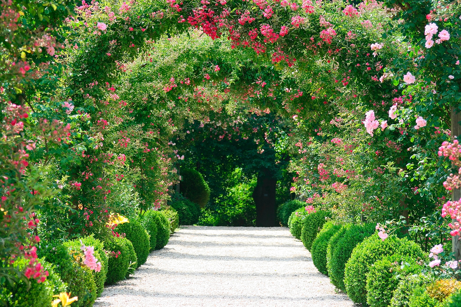 Papermoon Fototapete "Rose Arch Garden" glatt