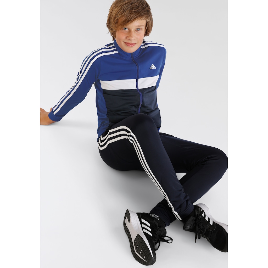 adidas Sportswear Trainingsanzug »ESSENTIALS 3-STREIFEN TIBERIO«, (2 tlg.)