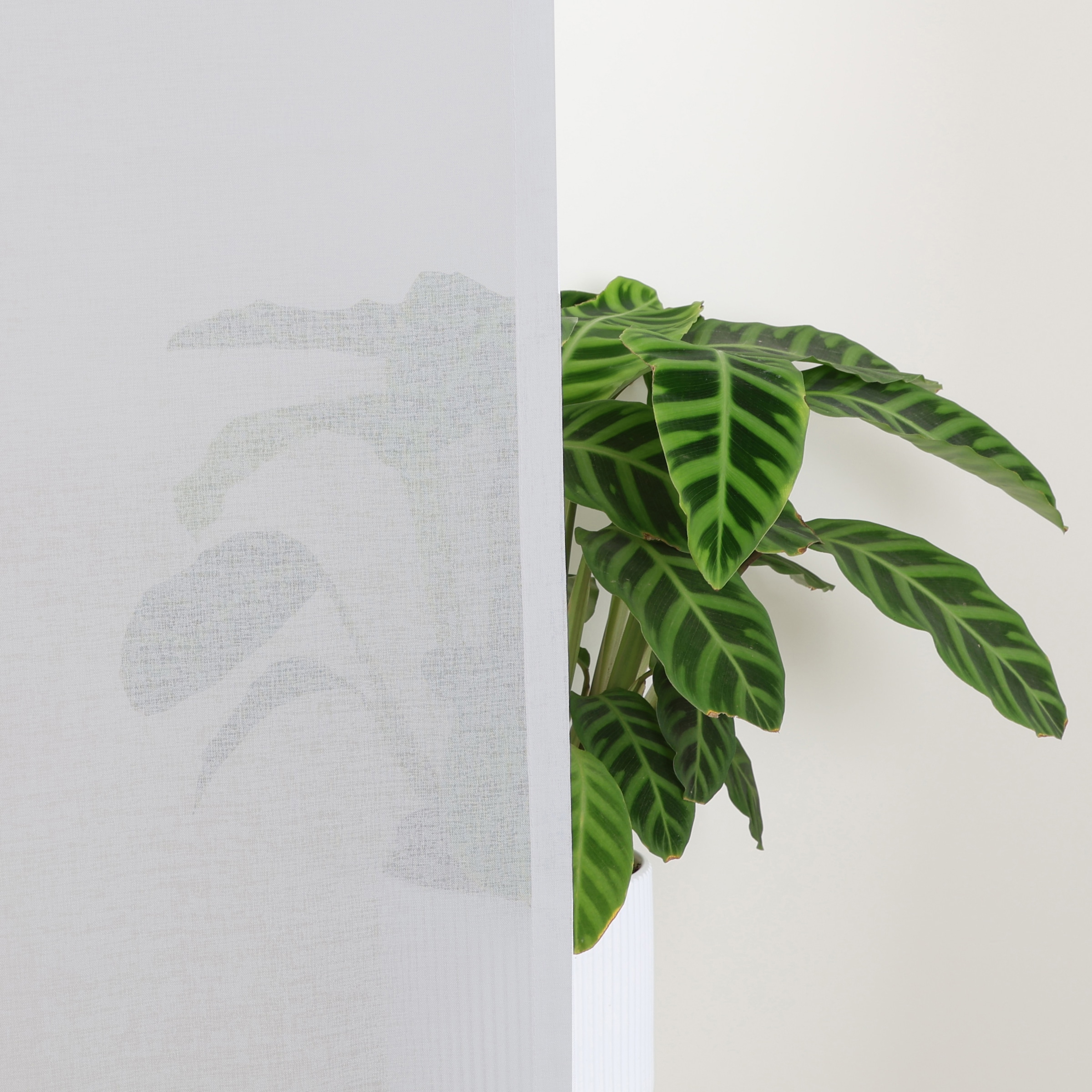 my home Gardine »Dolly«, (1 St.), gewebt, Polyester