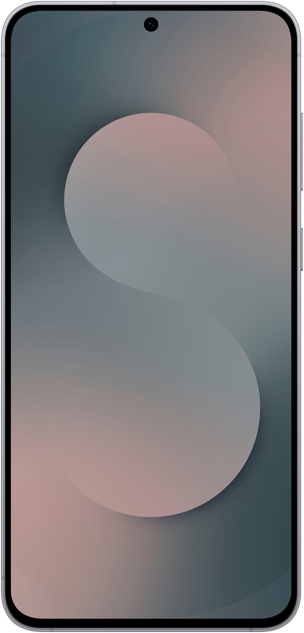 Samsung Smartphone »Galaxy S25 FE«, jetblack