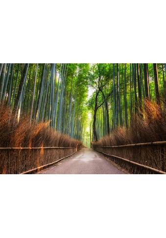 Papermoon Fototapetas »Bamboo Grove of Kyoto«