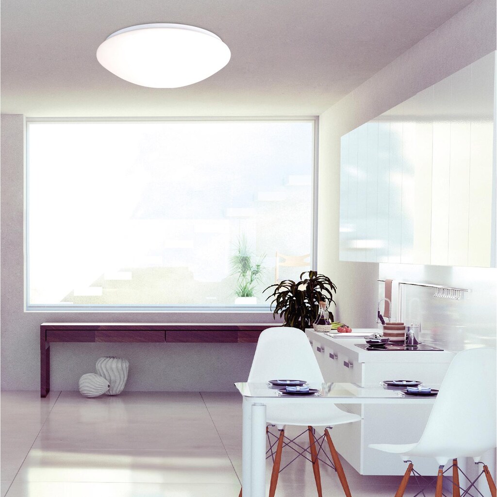 Wohnen Lampen & Leuchten näve LED Deckenleuchte »BERN«, LED-Board, Warmweiß-Neutralweiß-Kaltweiß-Tageslichtweiß, LED Deckenlampe
