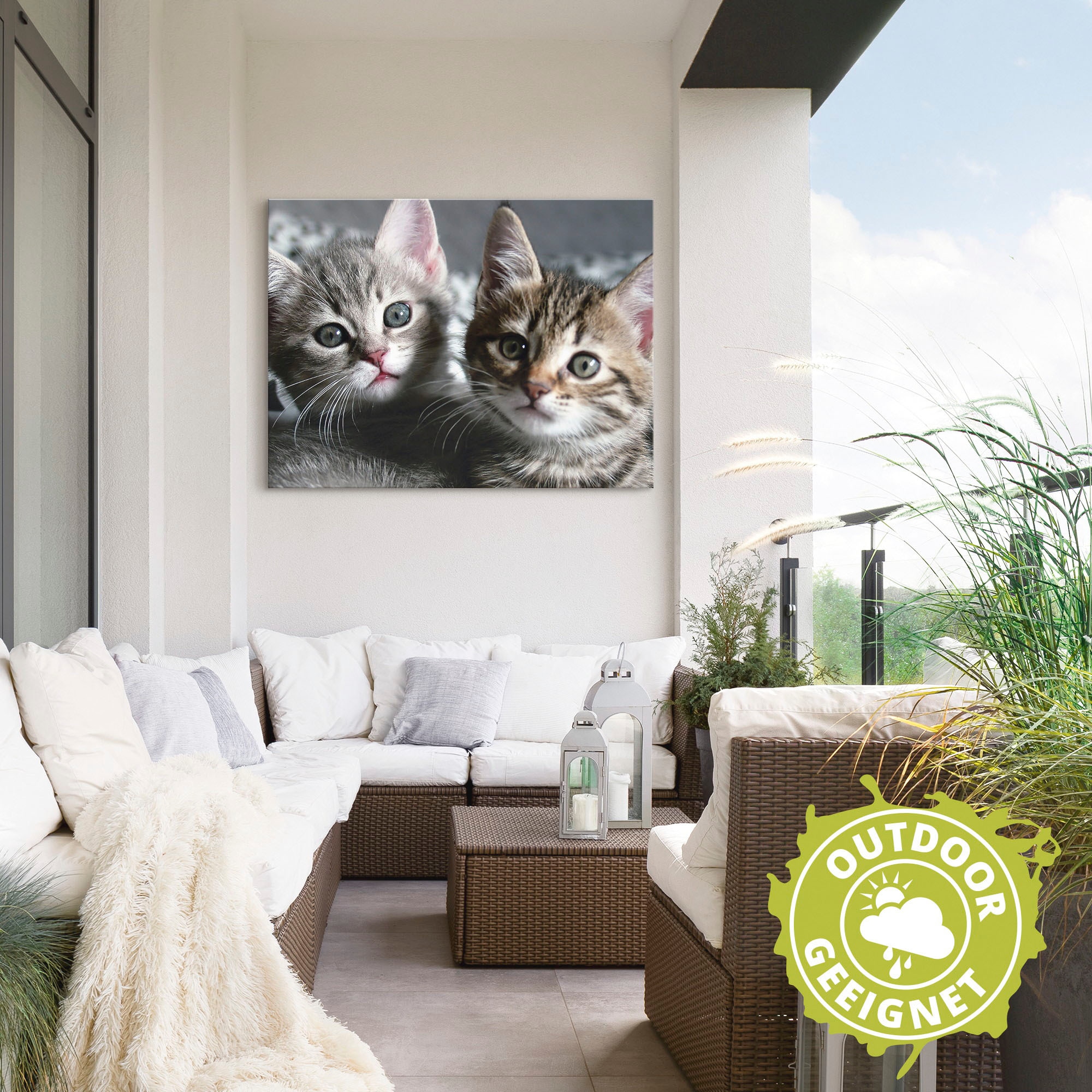 Artland Wandbild »Katze«, Haustiere, (1 St.), als Alubild, Outdoorbild, Leinwandbild, Poster, Wandaufkleber