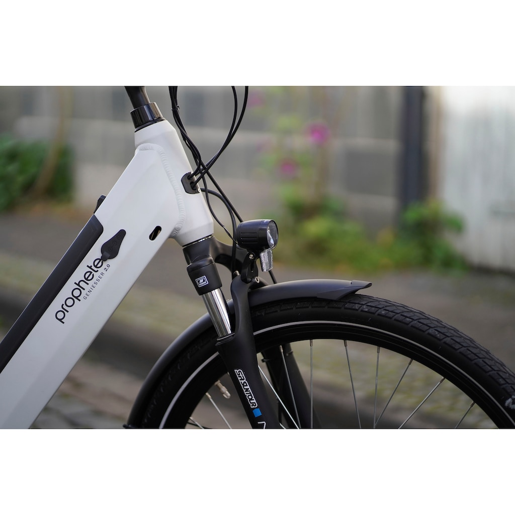 Prophete E-Bike »Geniesser 2.0«, 7 Gang, Shimano, Nexus, Frontmotor 250 W