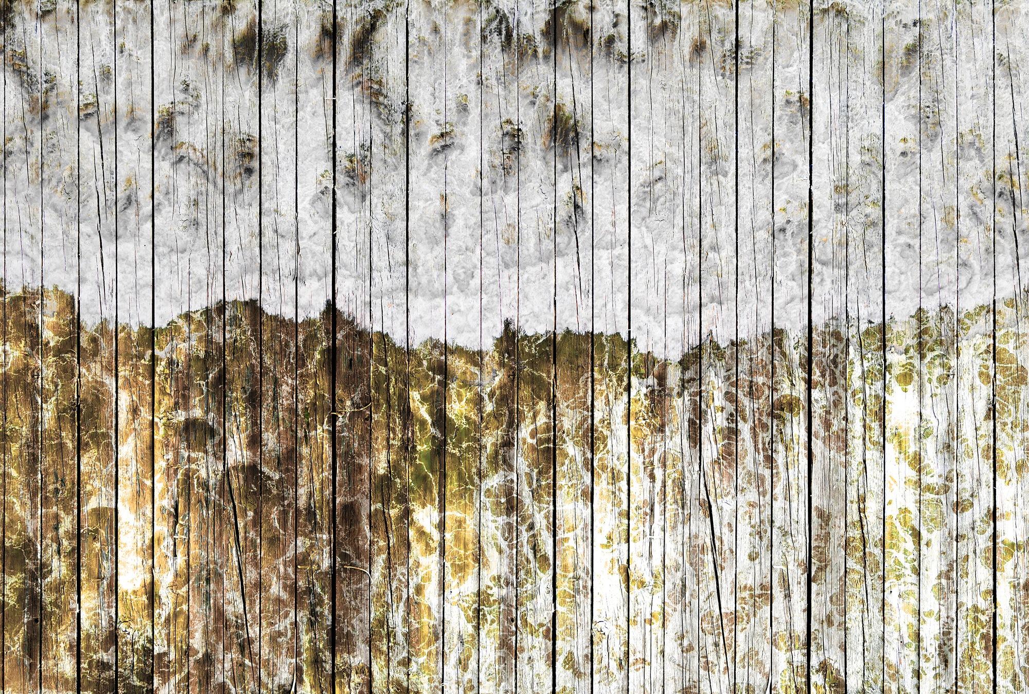 Architects Paper Fototapete "Atelier 47 Beachboard 1" Holz glatt Vlies, Wand, Schräge, Decke