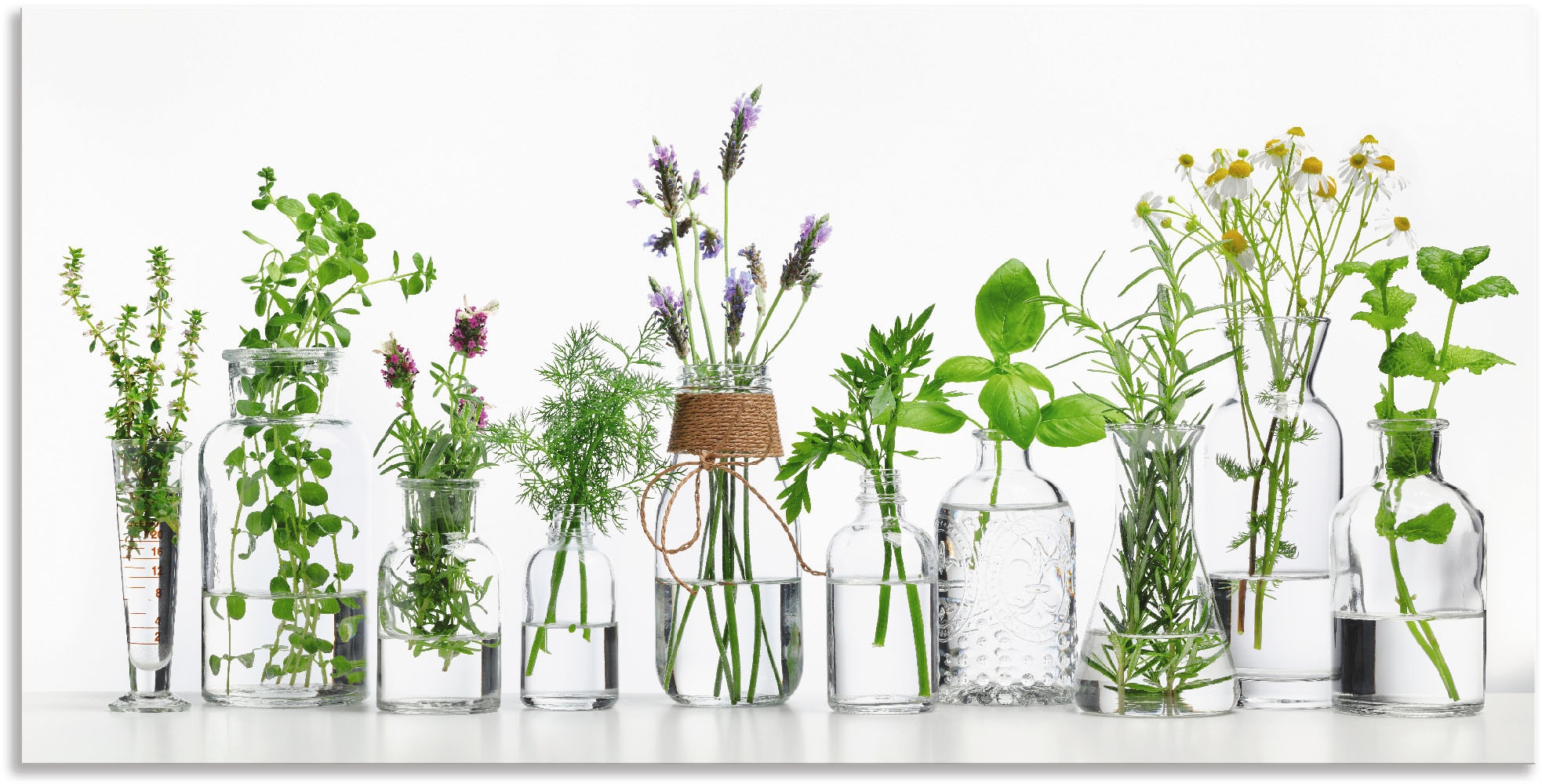 Artland Wandbild "Öle mit Kräutern" Kräuterbilder 1 Stk. tlg. als Alubild, günstig online kaufen