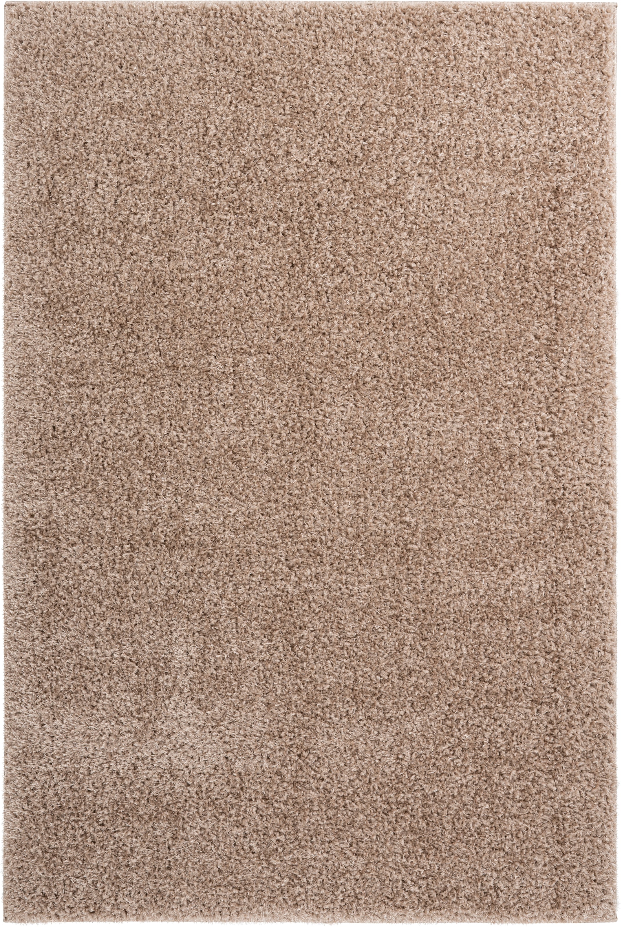 Obsession Hochflor-Teppich »My Emilia 250«, rechteckig, 26 mm Höhe, sehr weicher Flor, ideal im Wohnzimmer & Schlafzimmer