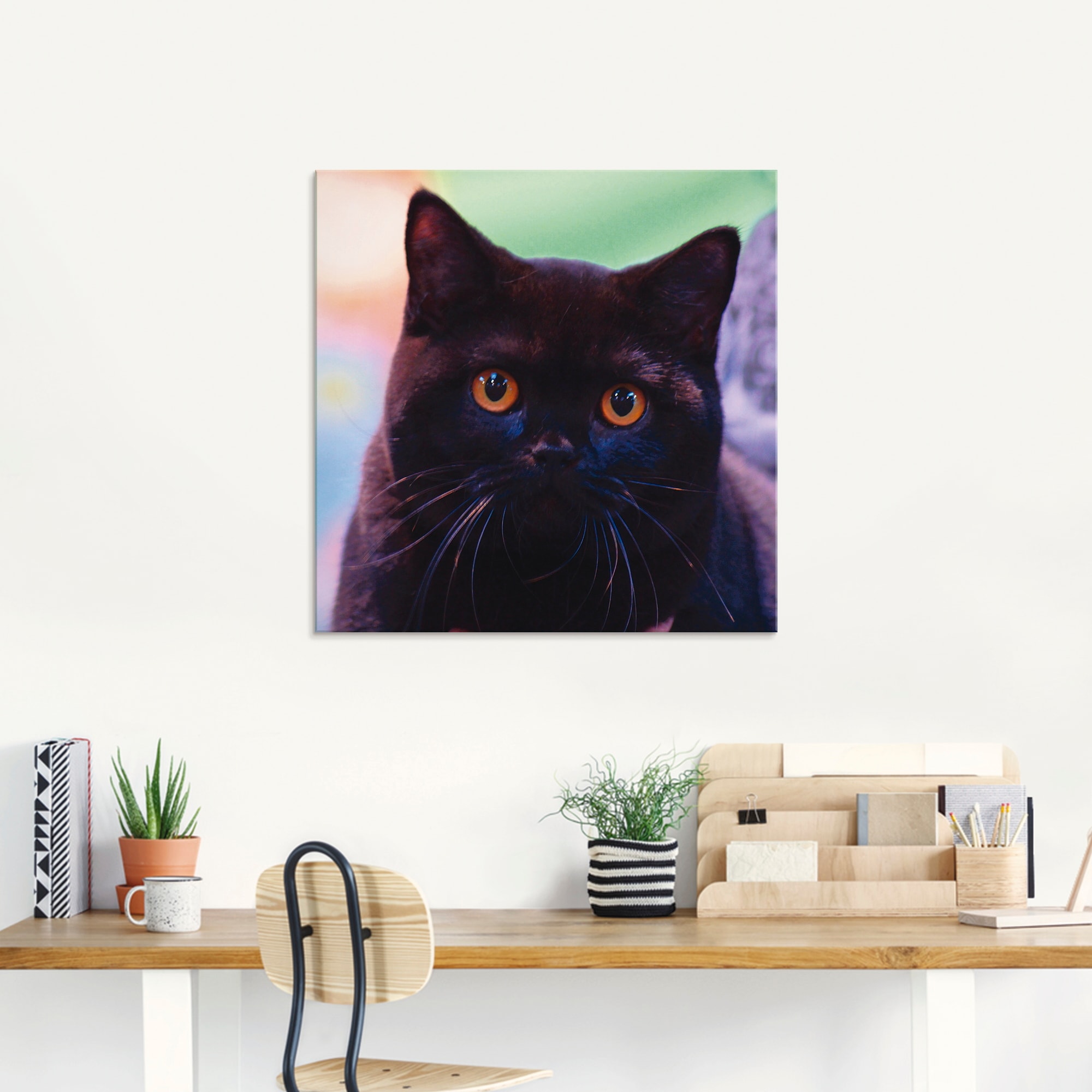 Artland Glasbild »Schwarze Britisch Kurzhaarkatze«, Haustiere, (1 St.), in verschiedenen Größen