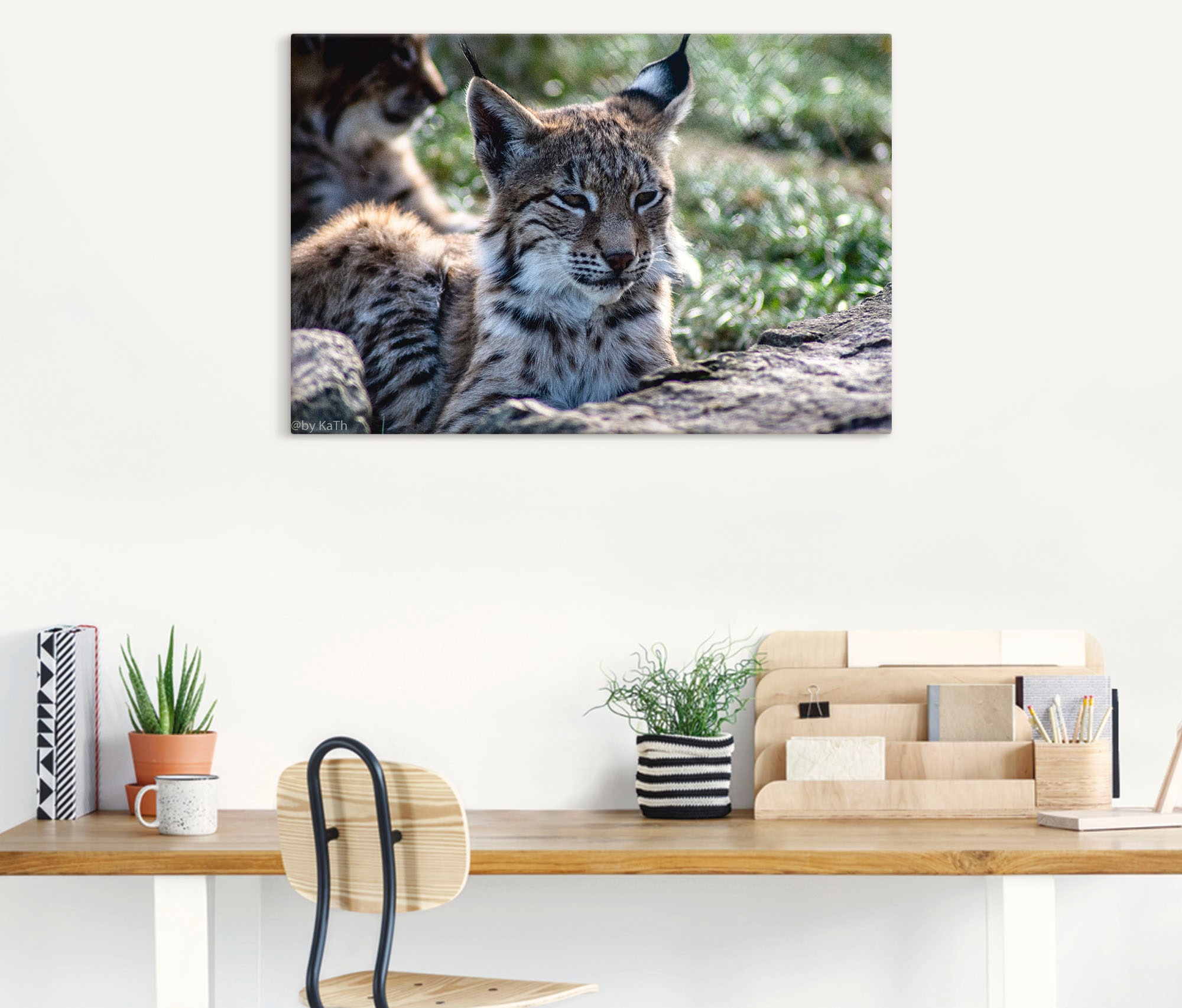 Artland Leinwandbild »Luchs«, Wildtiere, (1 St.), auf Keilrahmen gespannt