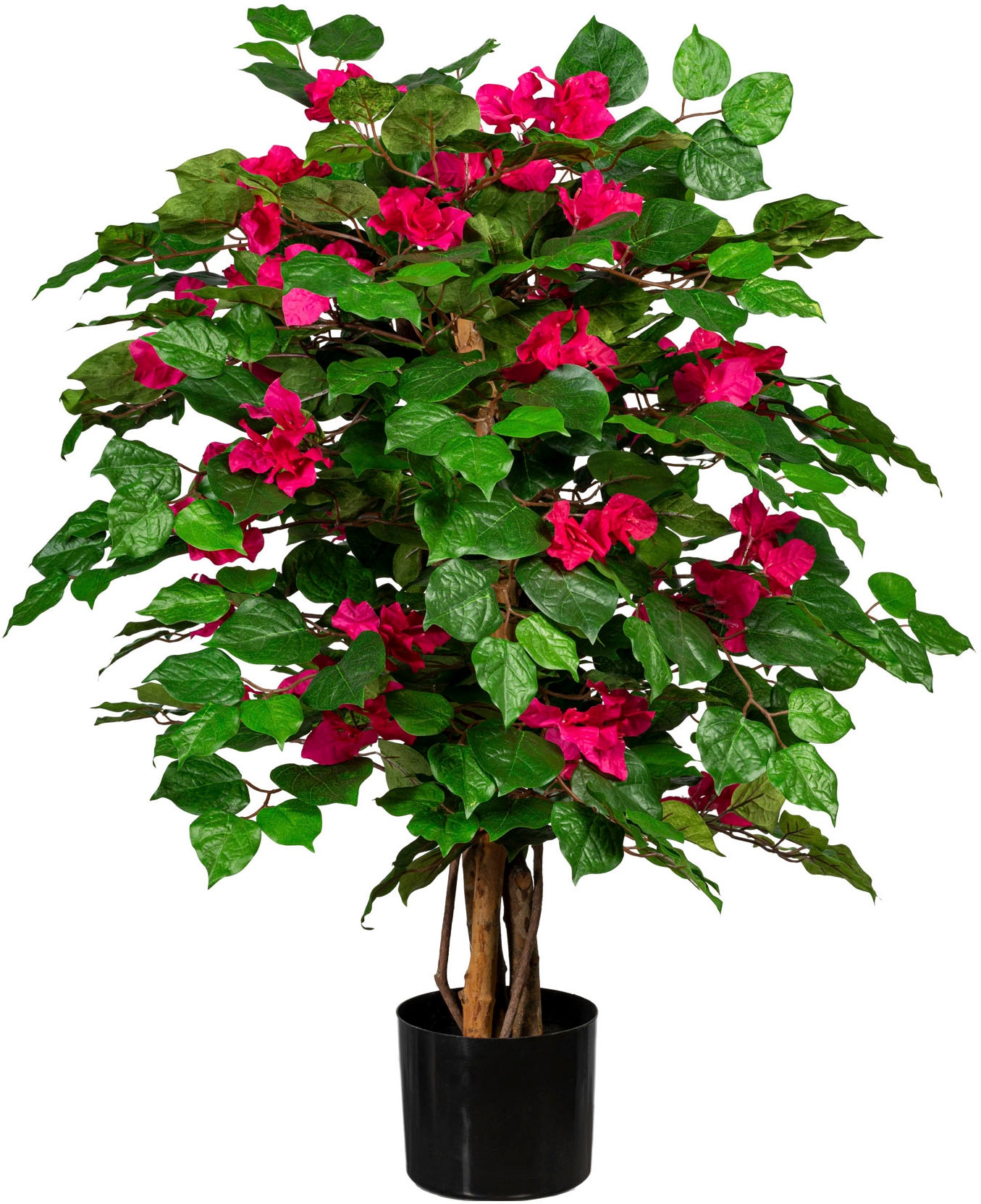 BAUR Creativ bestellen | »Bougainvillea« green Kunstpflanze