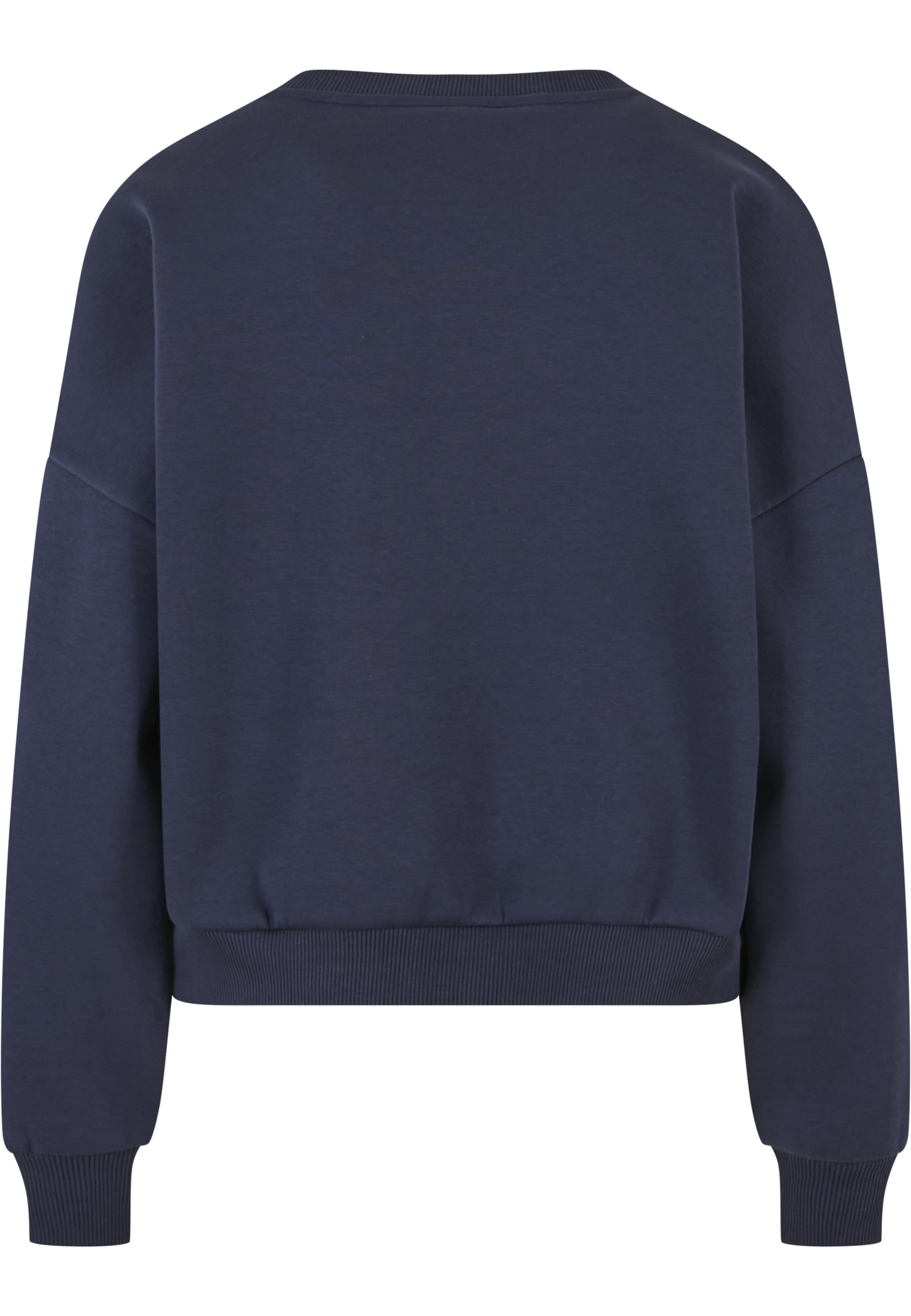 Karl Kani Sweater »Karl Kani Varsity Star Crewneck«
