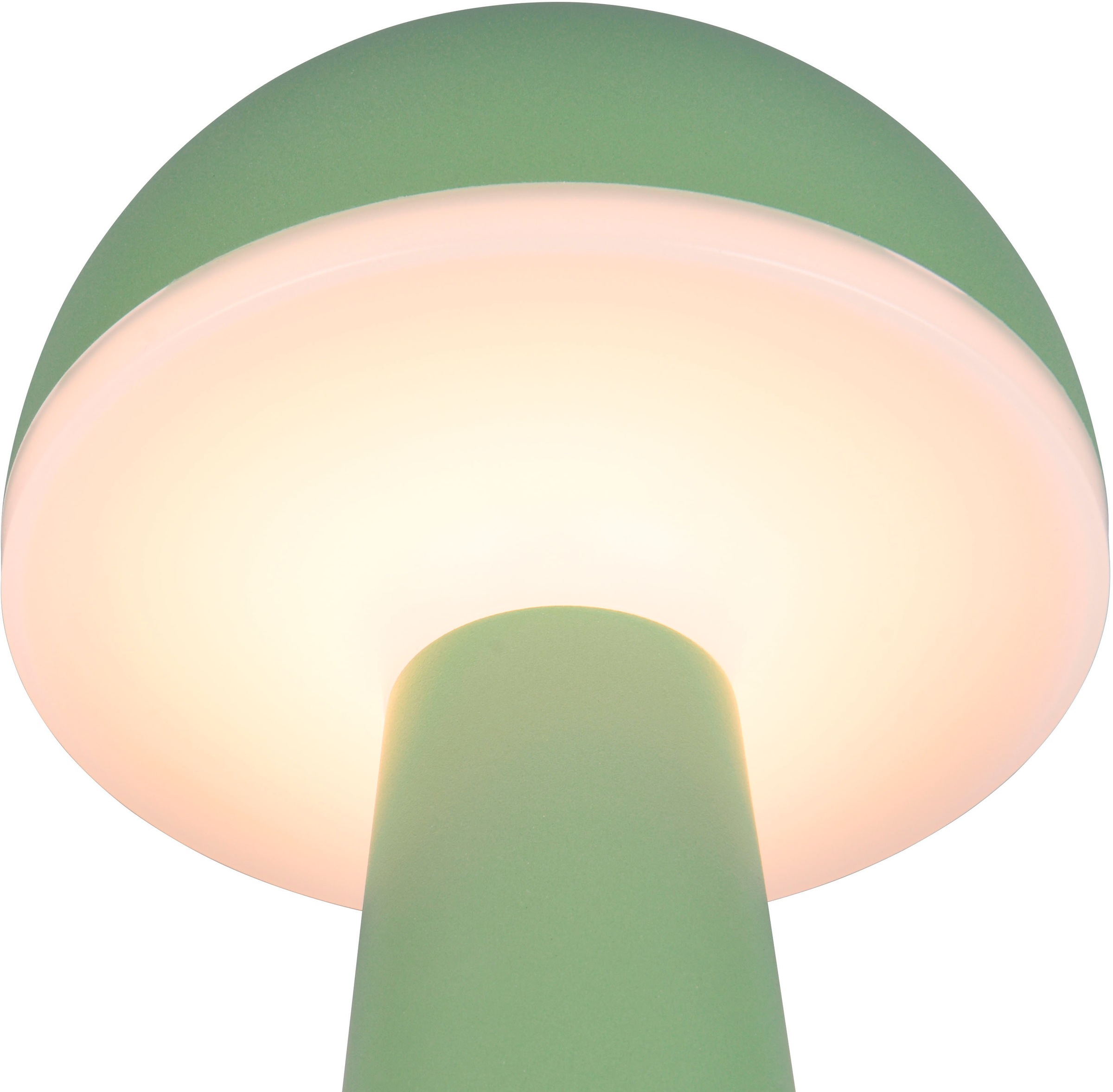 REALITY Leuchten LED Außen-Tischleuchte »FUNGO«, 1 flammig, Leuchtmittel LED-Board | LED fest integriert, Outdoor Akku Tischlampe inkl Ladestation USB-C, Lichtfarbe einstellbar