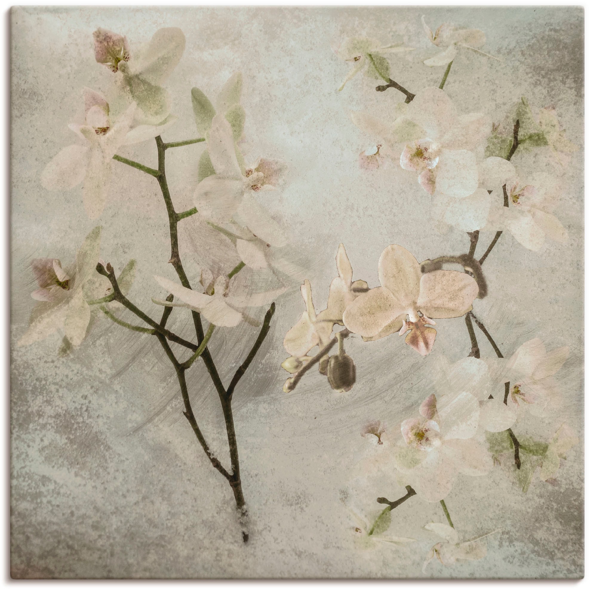 Artland Wandbild »Orchideen«, versch. Wandaufkleber Leinwandbild, BAUR St.), Größen (1 oder Poster kaufen als | Blumen, in