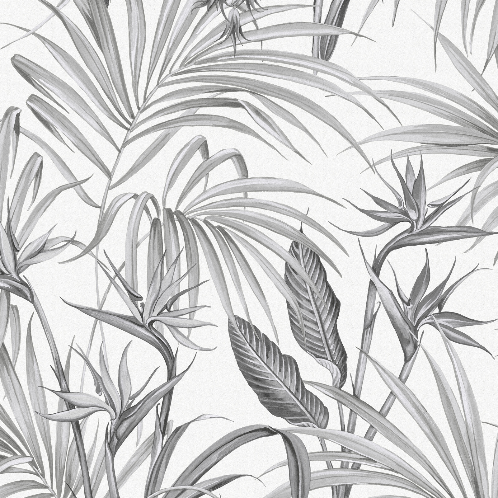 Superfresco Easy Vliestapete "Strelitzia Blätter" gemustert FSC zertifiziert, mit lebhaftem Druck, 10 Meter Länge