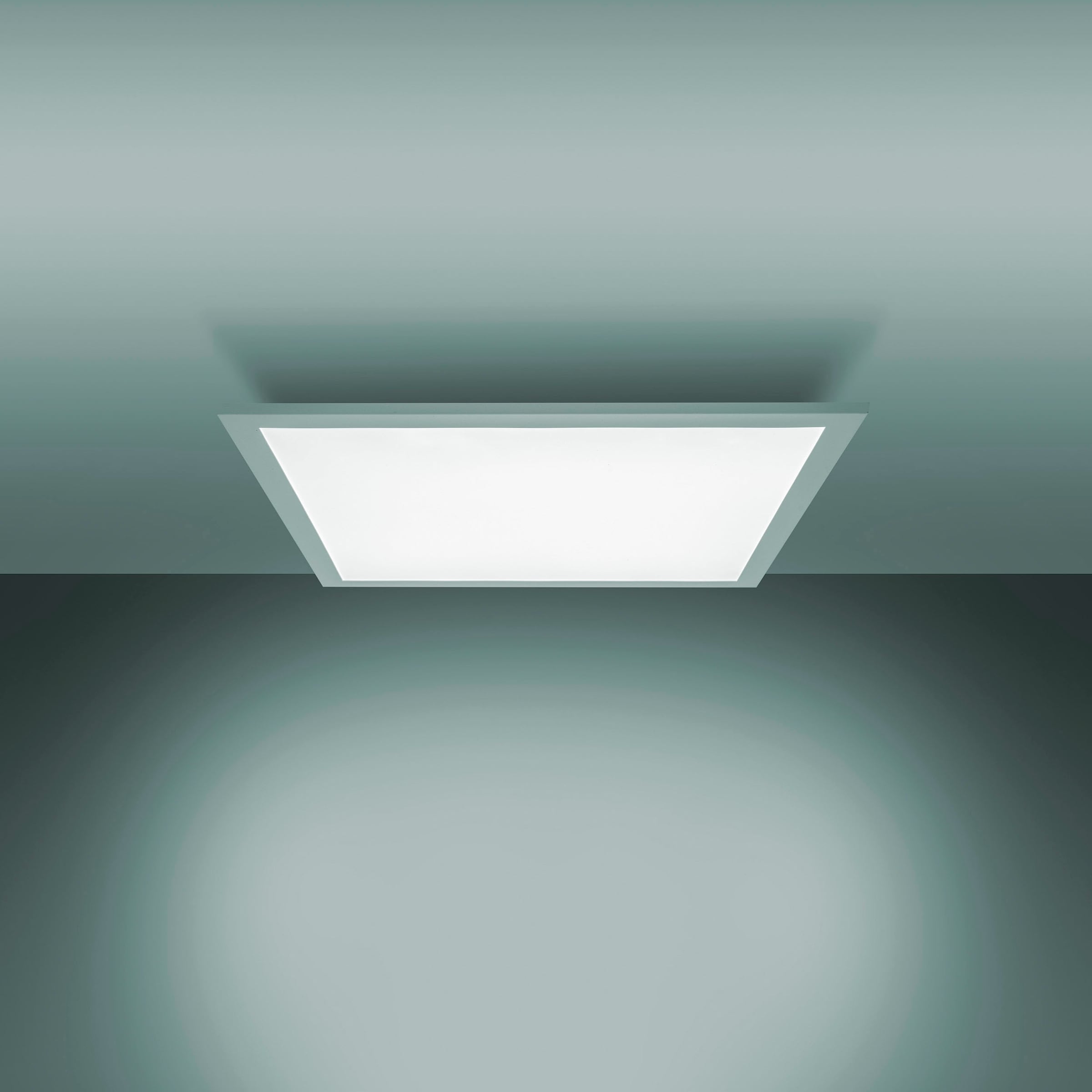 Panel 1 »Nico«, Nachtlichtfunktion, BAUR bestellen wechselbar näve LED CCT, Lichtfarbe dimmbar, | flammig-flammig, Deckenleuchte