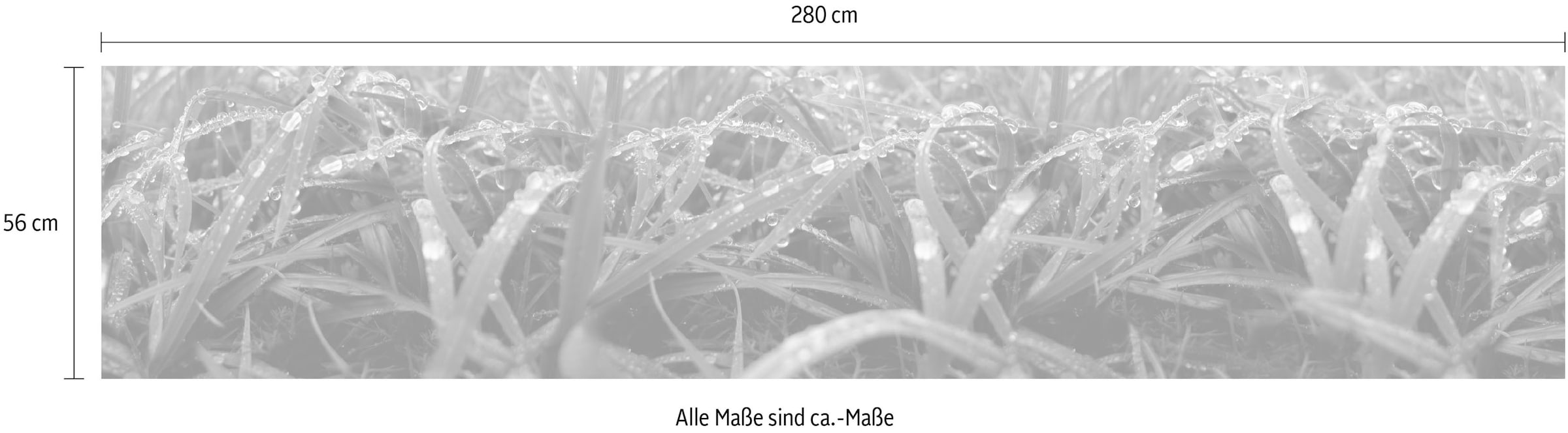 Express Küchen Küchenrückwand »"Regenwald", als Spritzschutz geeignet, mit Schutzlack versehen«, (1 tlg.), in verschiedenen Breiten