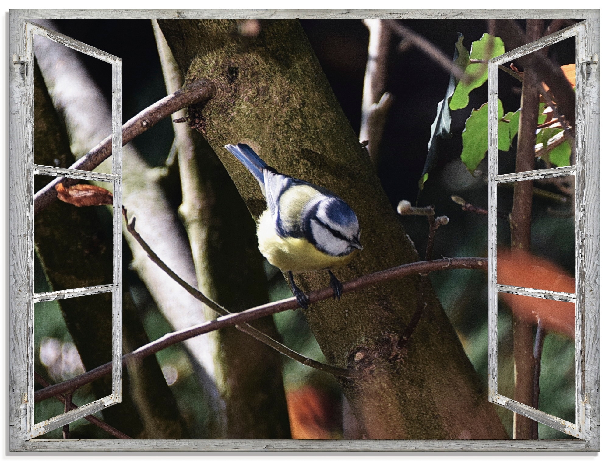 Artland Glasbild "Fensterblick - Blaumeise", Vögel, (1 St.), in verschiedenen Größen