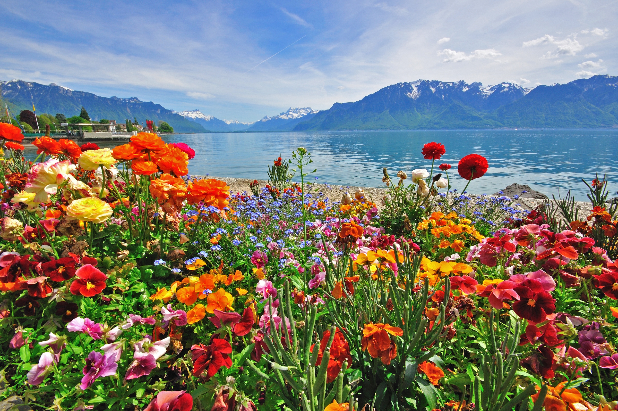 Papermoon Fototapete "BLUMEN-DESIGN NATUR LANDSCHAFT GEBIRGE BERGE ALPEN SEE"