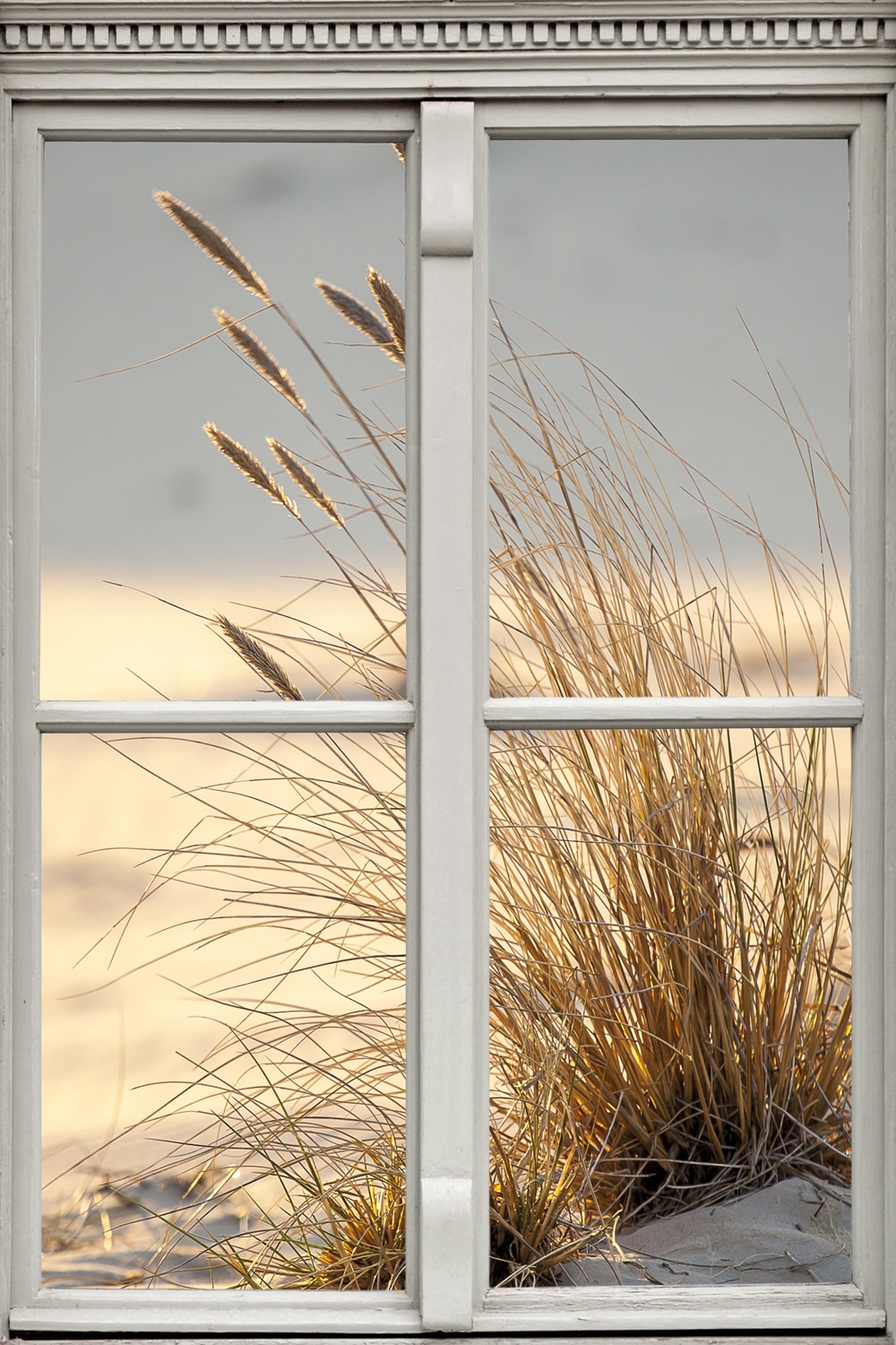 queence Leinwandbild "Düne", Düne-Gräser-Natur-Fensterblick, (1 St.), Premi günstig online kaufen