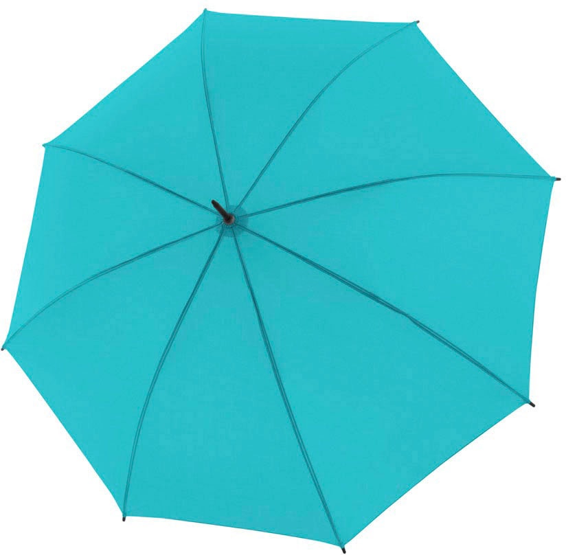 derby Online-Shop ▷ Regenschirme Rechnung auf BAUR |