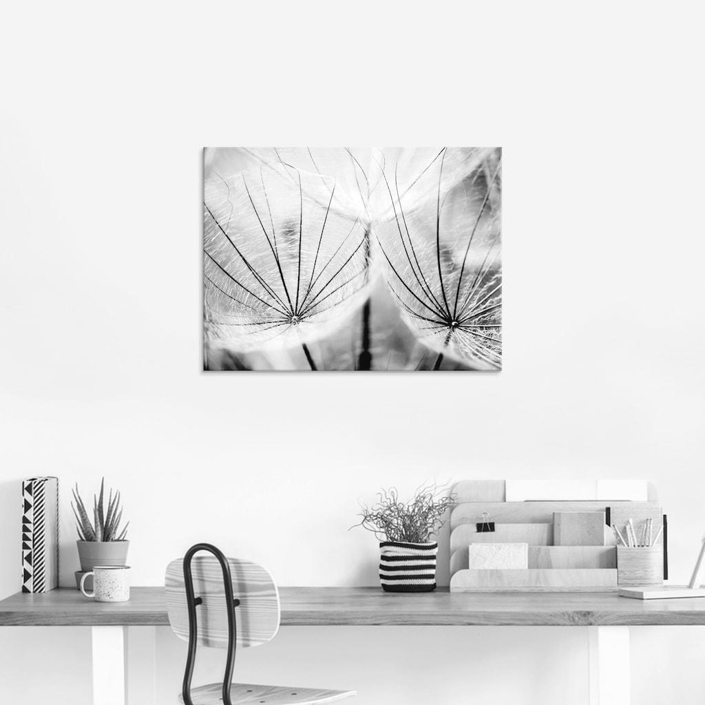 Artland Glasbild »Pusteblume in schwarzweiß«, Blumen, (1 St.)