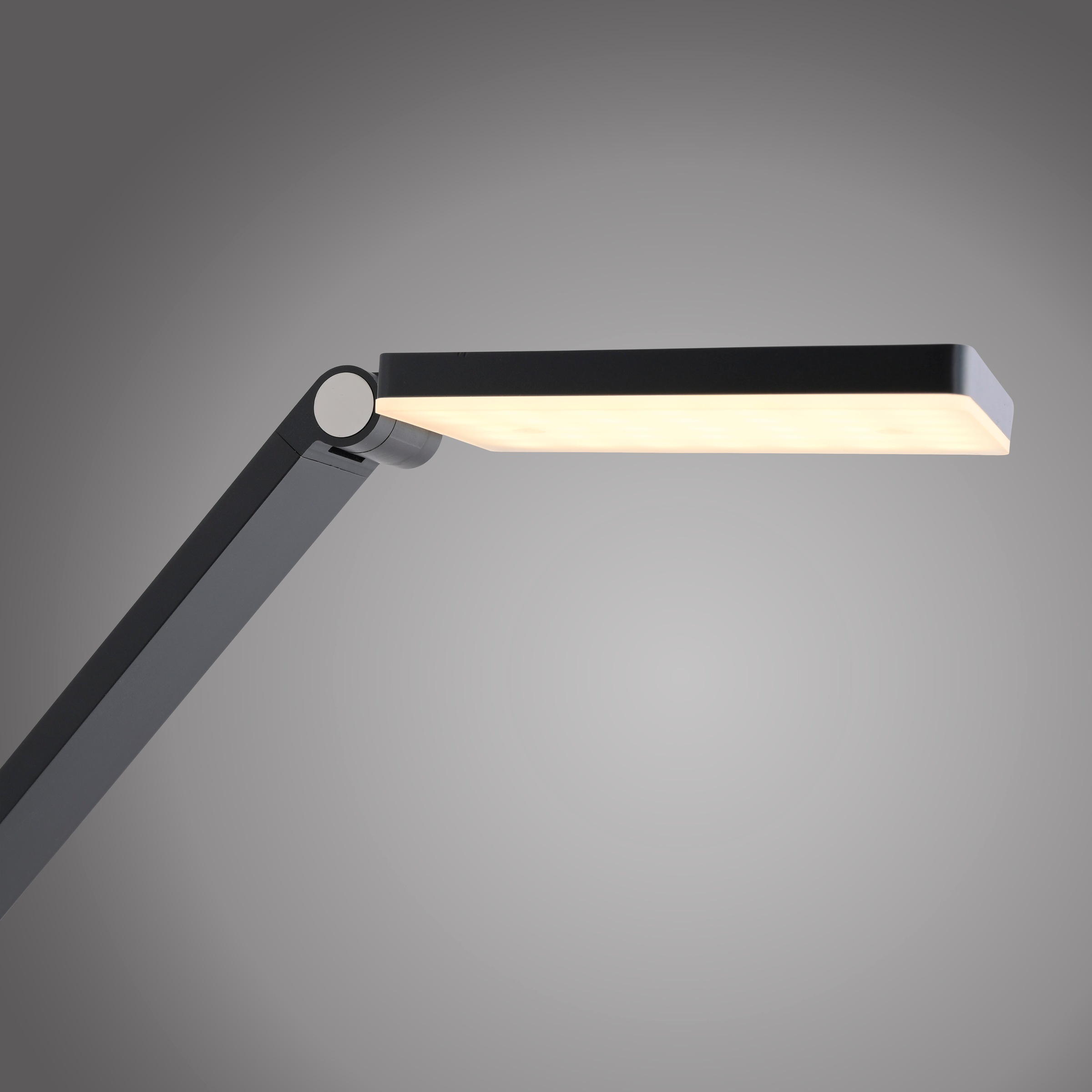 Paul Neuhaus LED Stehlampe »SAMSKY« LED-Board 1 Stk. warmweiß - kaltweiß Tastdimmer, CCT 2700-5000K, Memory, Höhenverstellbar