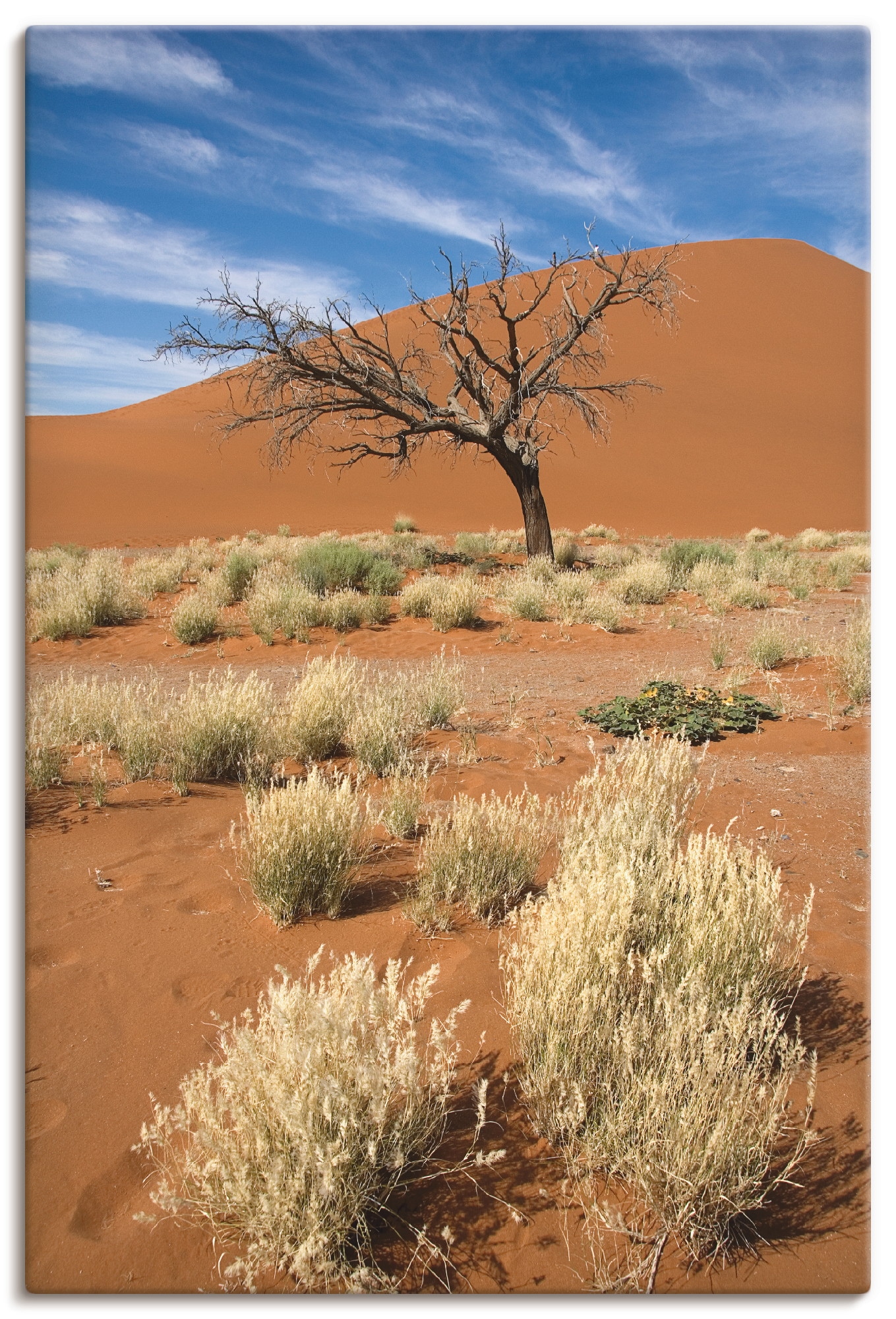 Artland Wandbild "Namib-Wüste 2", Afrika, (1 St.), als Leinwandbild, Poster günstig online kaufen