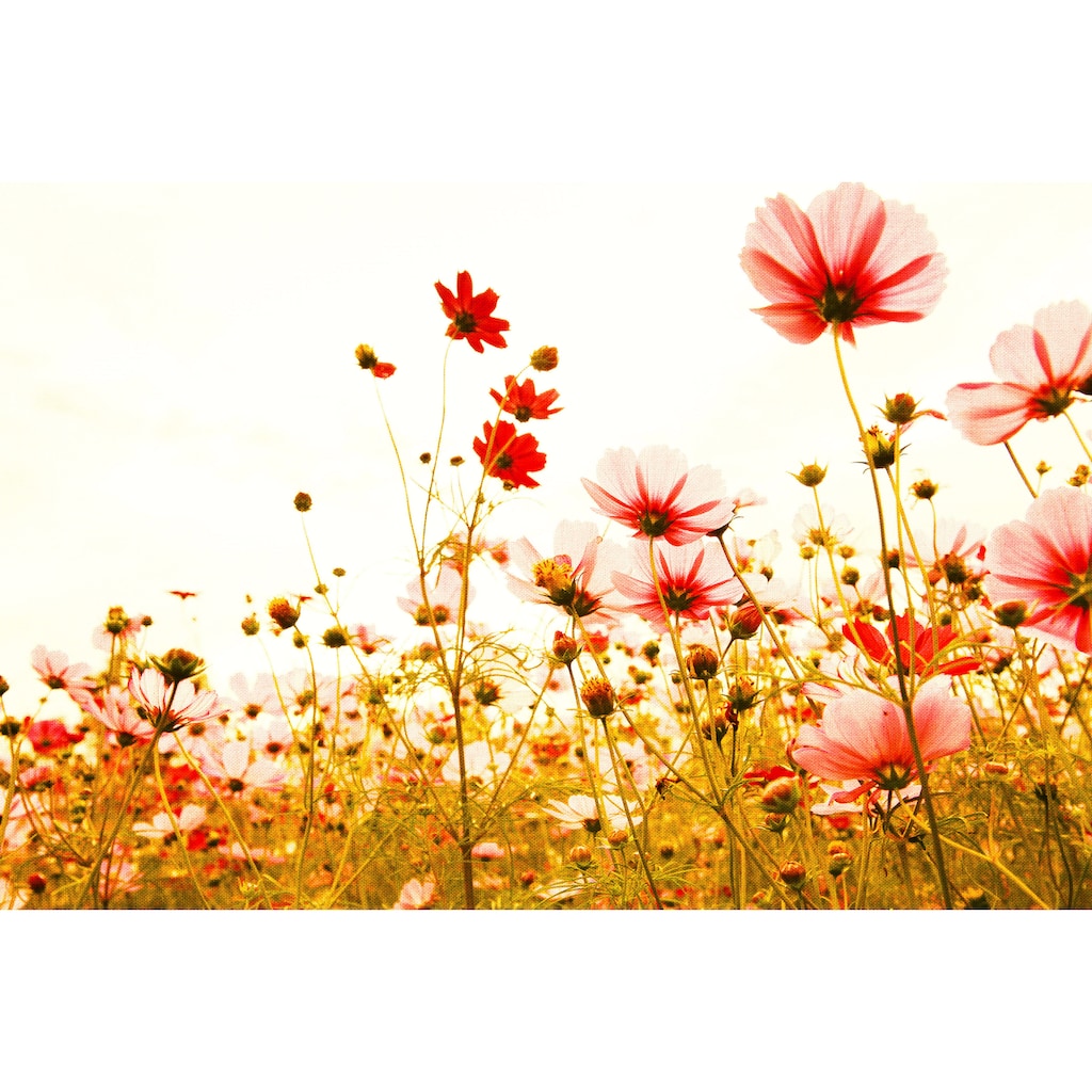 A.S. Création Leinwandbild »Flower Meadow«, Blumen, (1 St.)