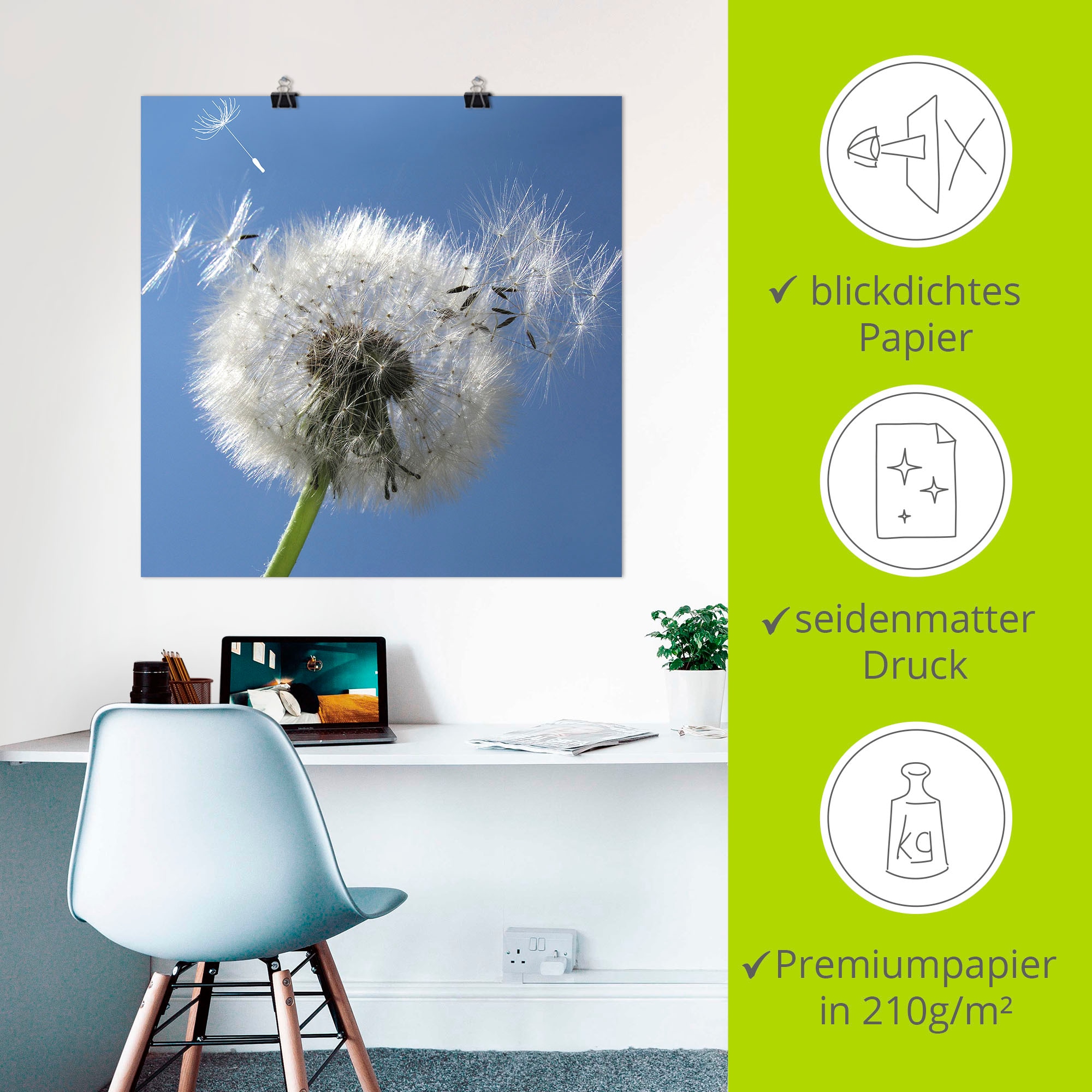 Artland Wandbild »Pusteblume« Blumen 1 Stk. tlg. als Leinwandbild, Poster in verschied. Größen
