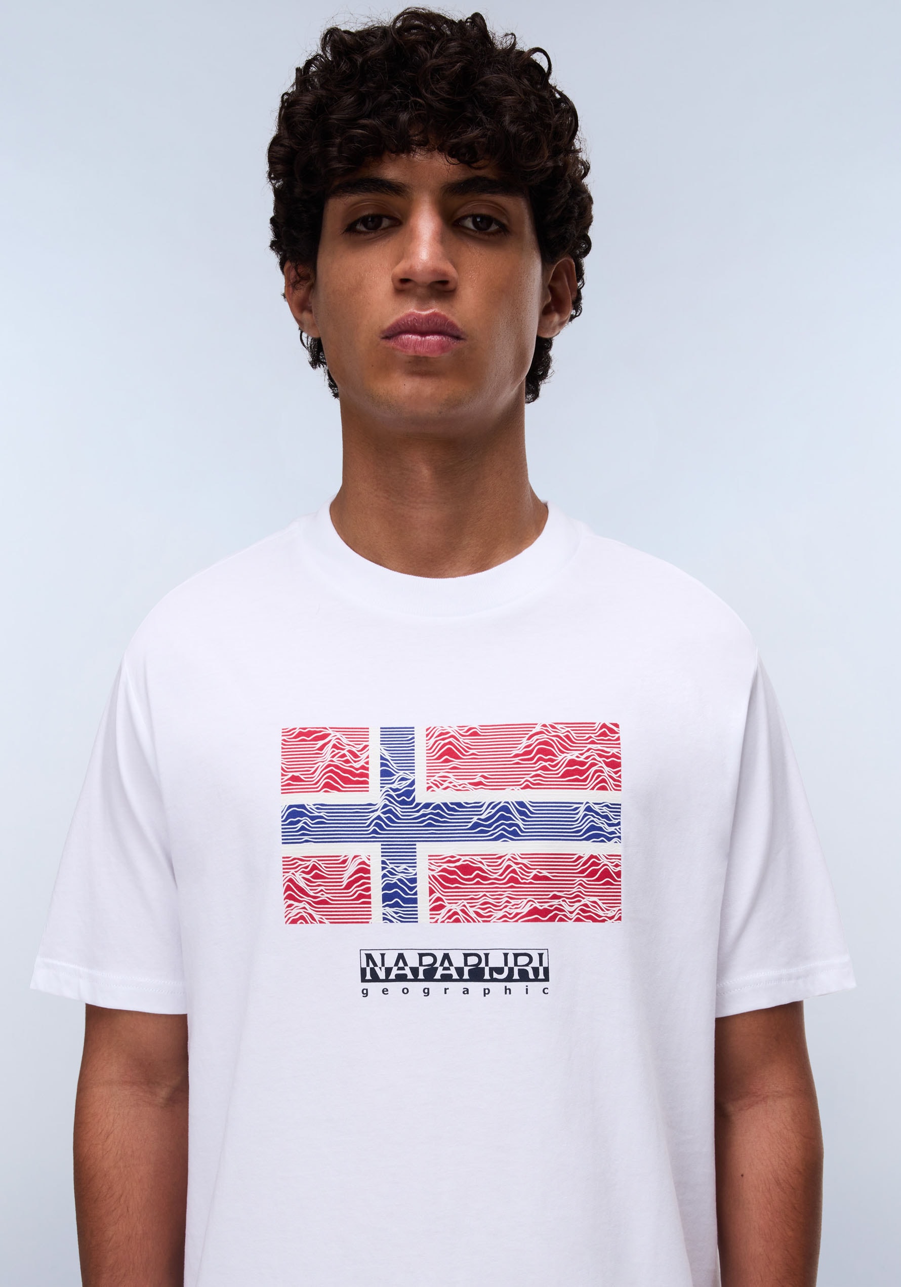 Napapijri T-Shirt »DRAPEAU«, mit Print, Rundhals, Jersey