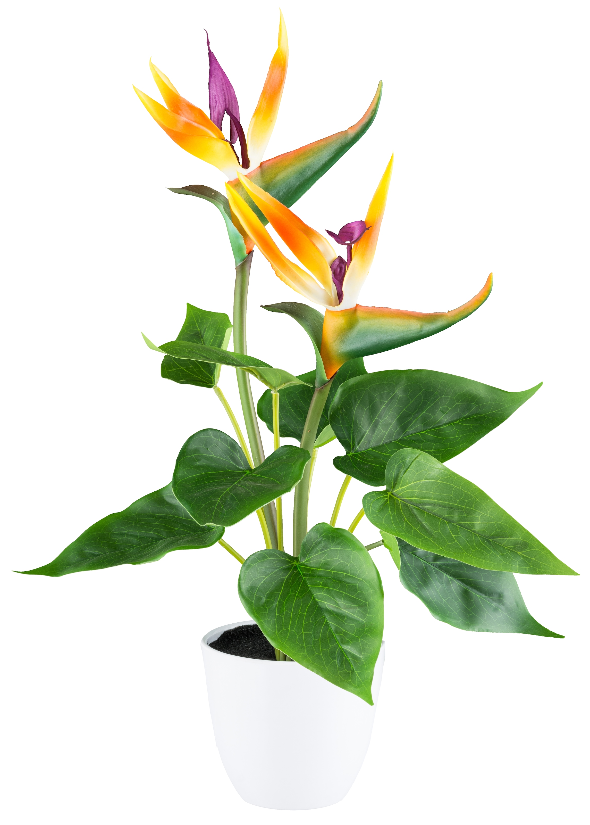 Creativ green Kunstpflanze »Strelitzia«, mit 2 Blüten