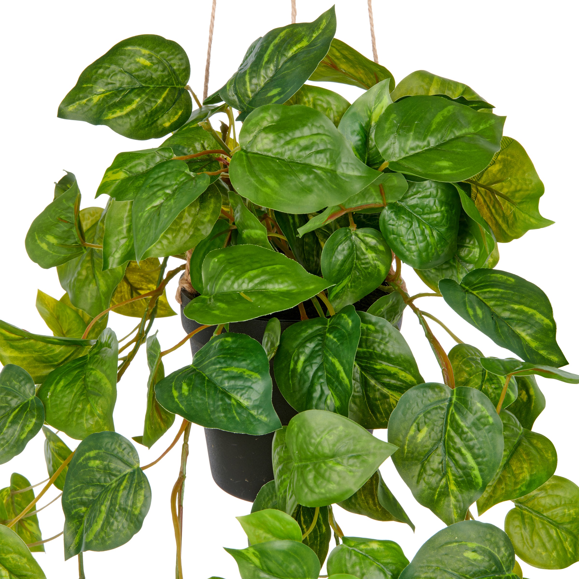 Creativ green Kunstpflanze »Hängender Philodendron hederaceum«, mit üppigen Ranken