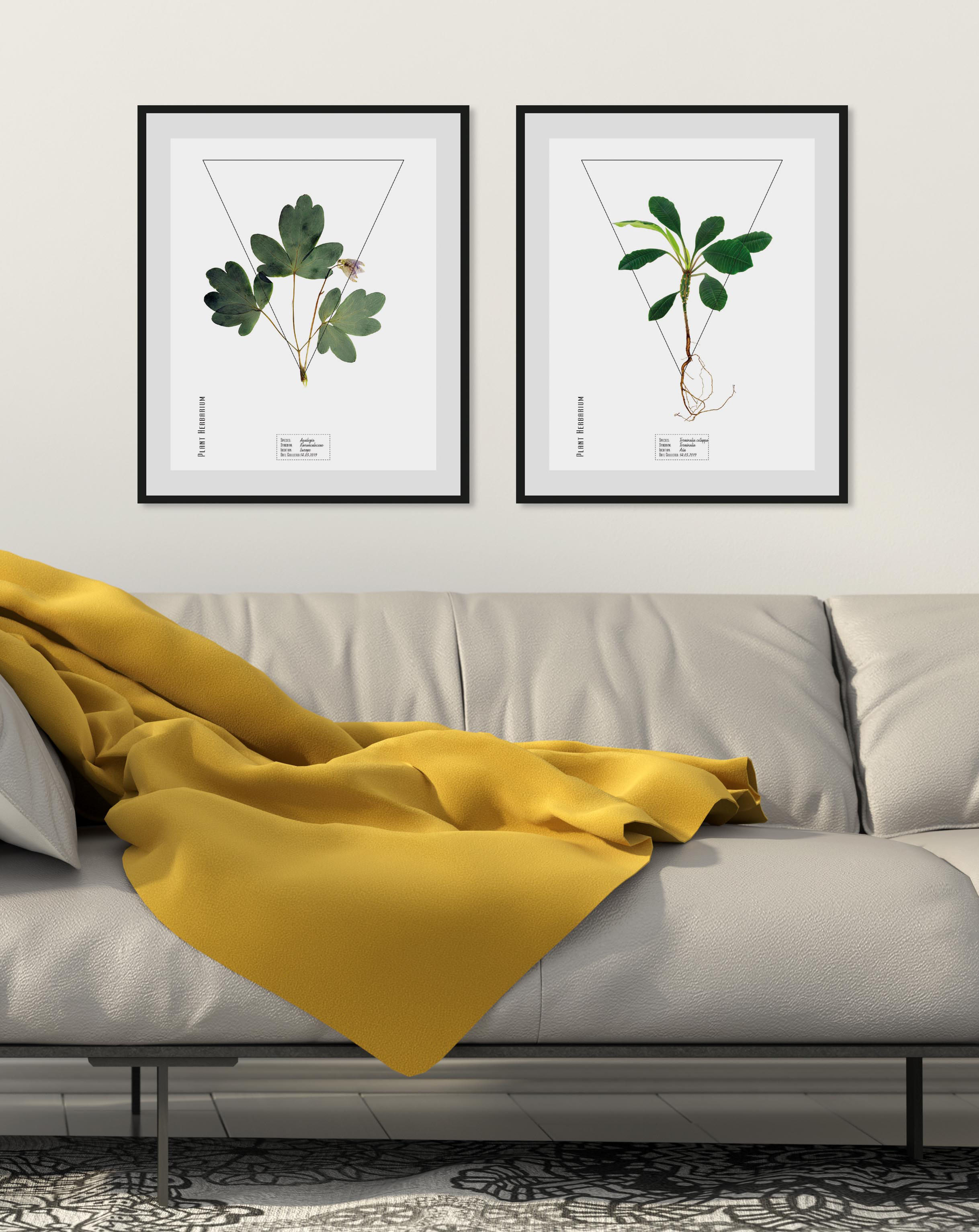 queence Bild "Aquilegia" Pflanzen Pflanzenbilder Schriftzüge 1 Stk. tlg. HD Premium Poster-Druck inkl. Holzrahmen