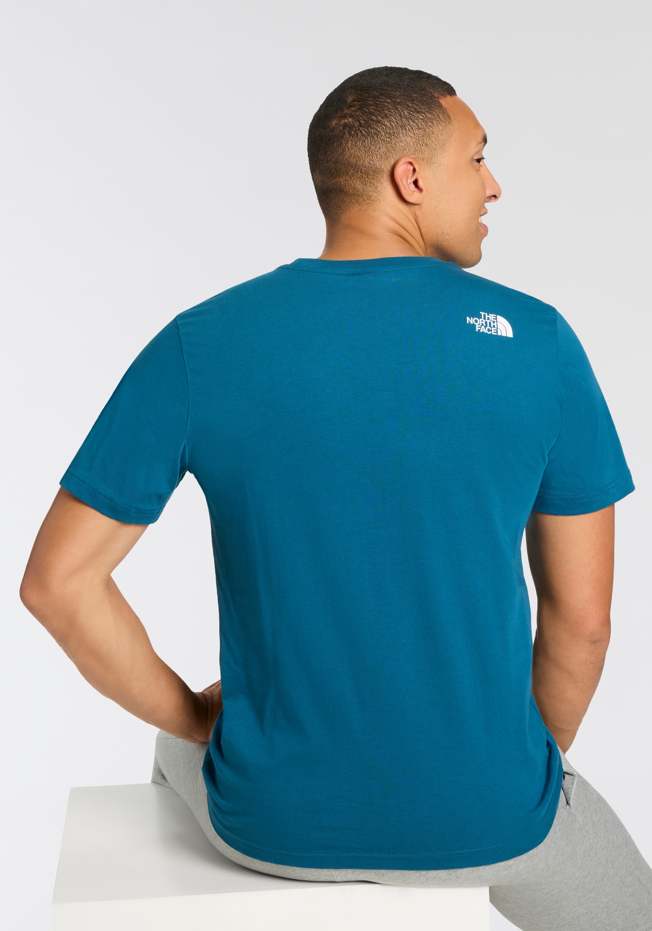 The North Face T-Shirt »M SS MOUNTAIN LINE TEE«, (1 tlg.)