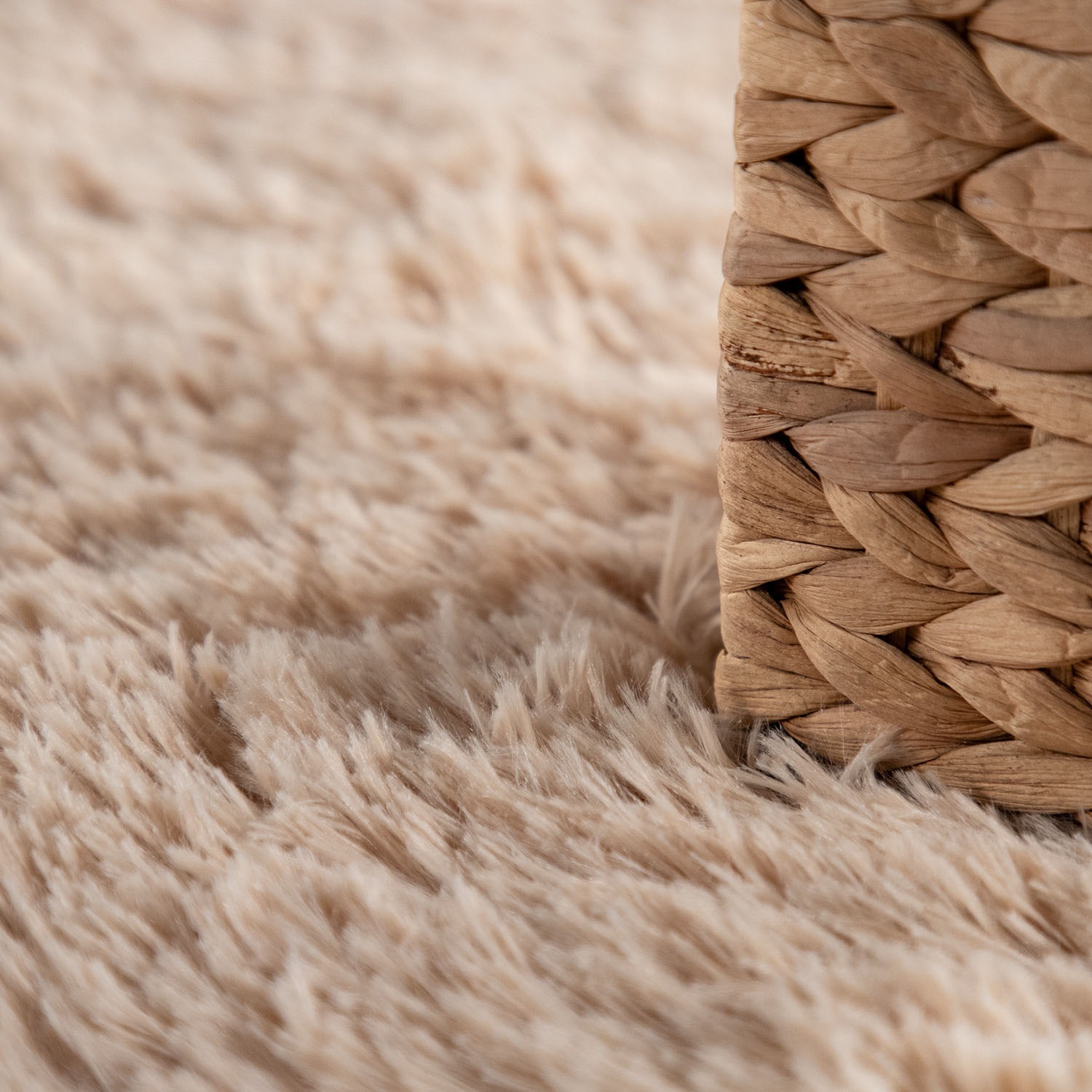 Paco Home Silky 591 Rug Beige 60x100cm 3