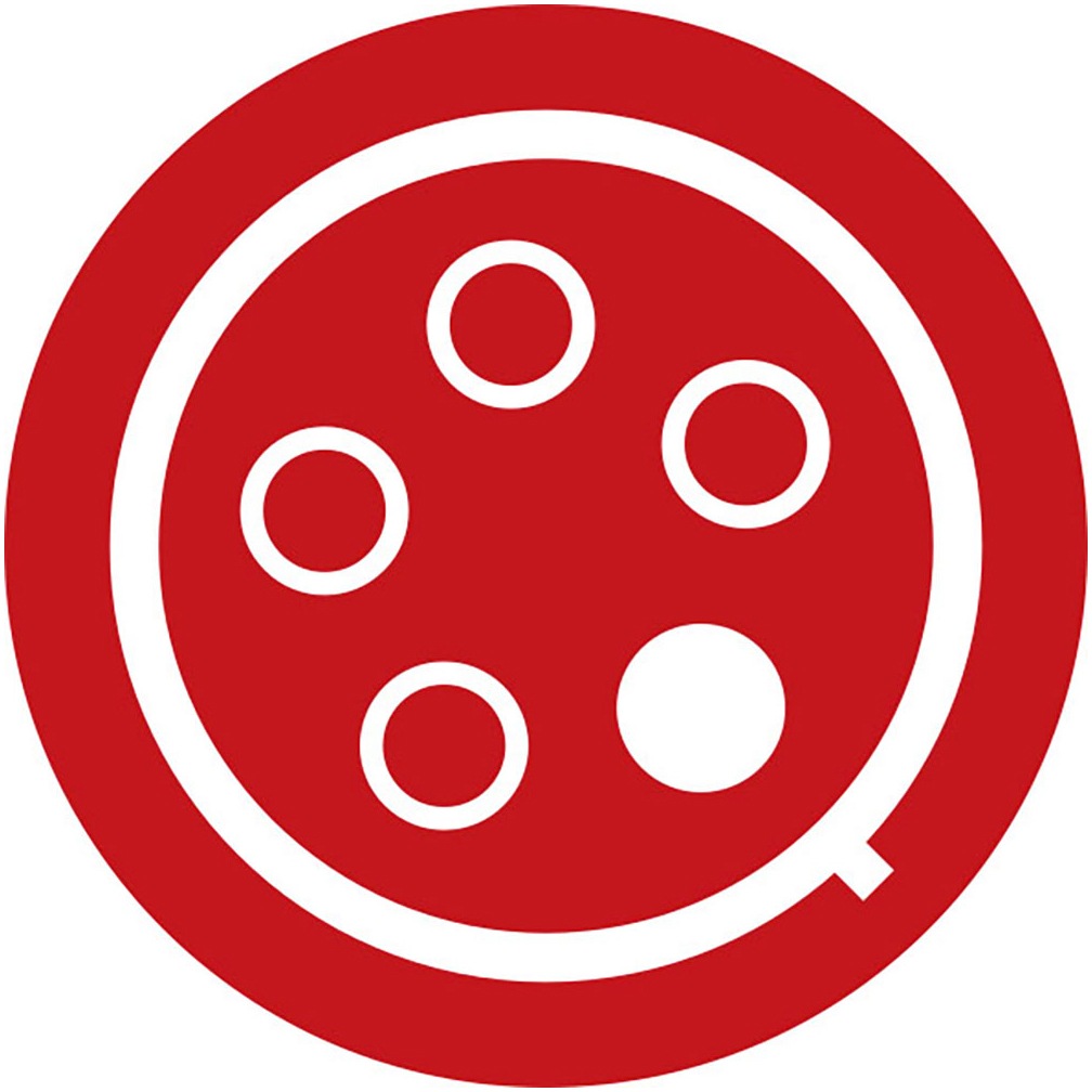 Brennenstuhl Elektroauto-Ladegerät »EV Typ 2 CEE 11kW Tragbar mit 8m Kabel«