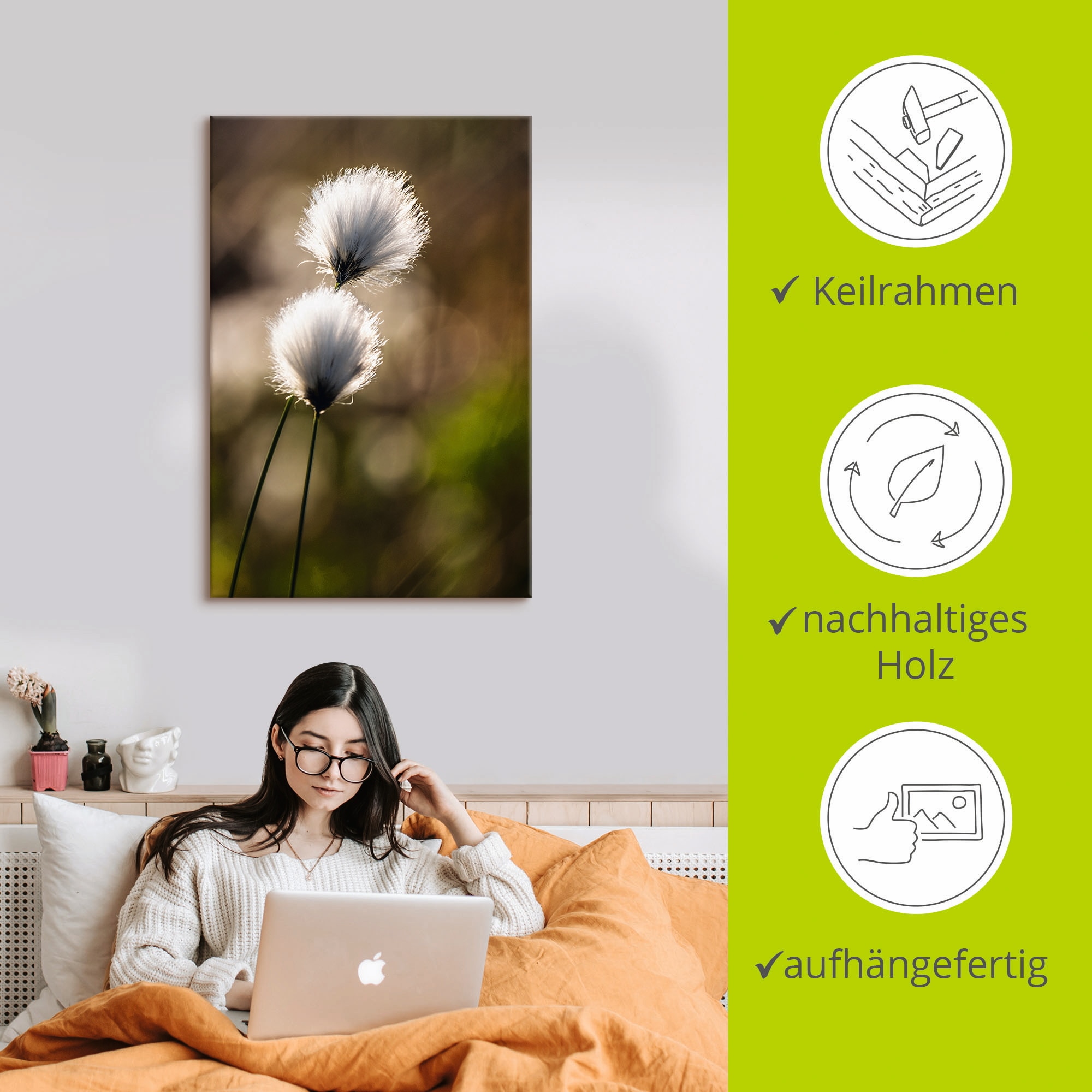 Artland Wandbild »Wollgras I«, Gräser, (1 St.), als Alubild, Outdoorbild, Leinwandbild, Poster in verschied. Größen