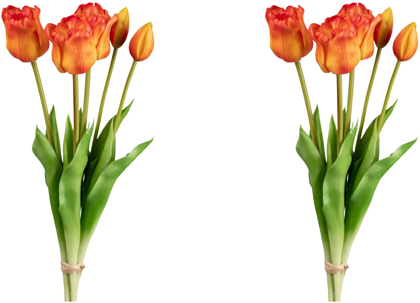 my home Kunsttulpe »Papageientulpenbund«, (2 St.) kaufen