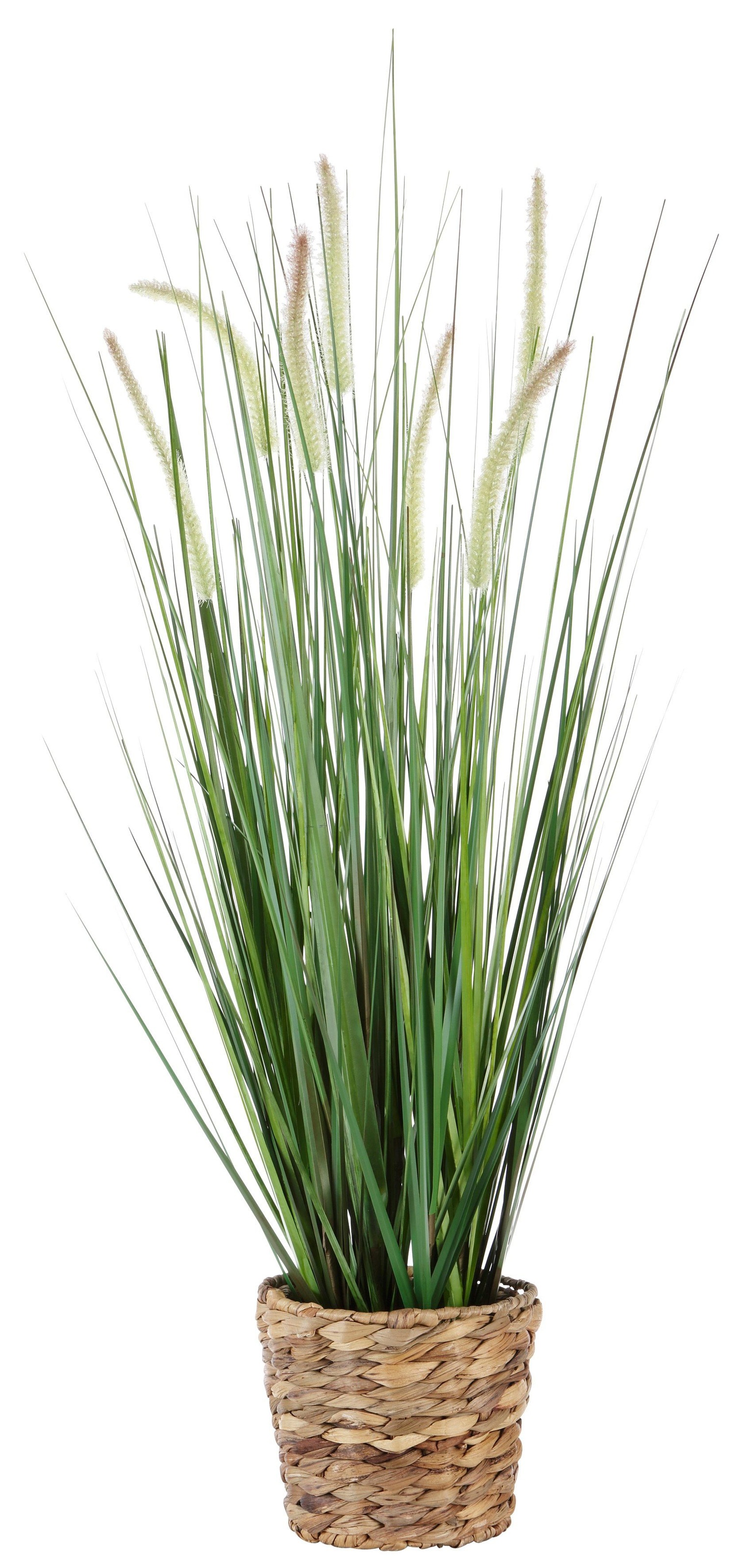I.GE.A. Kunstpflanze »Gras«