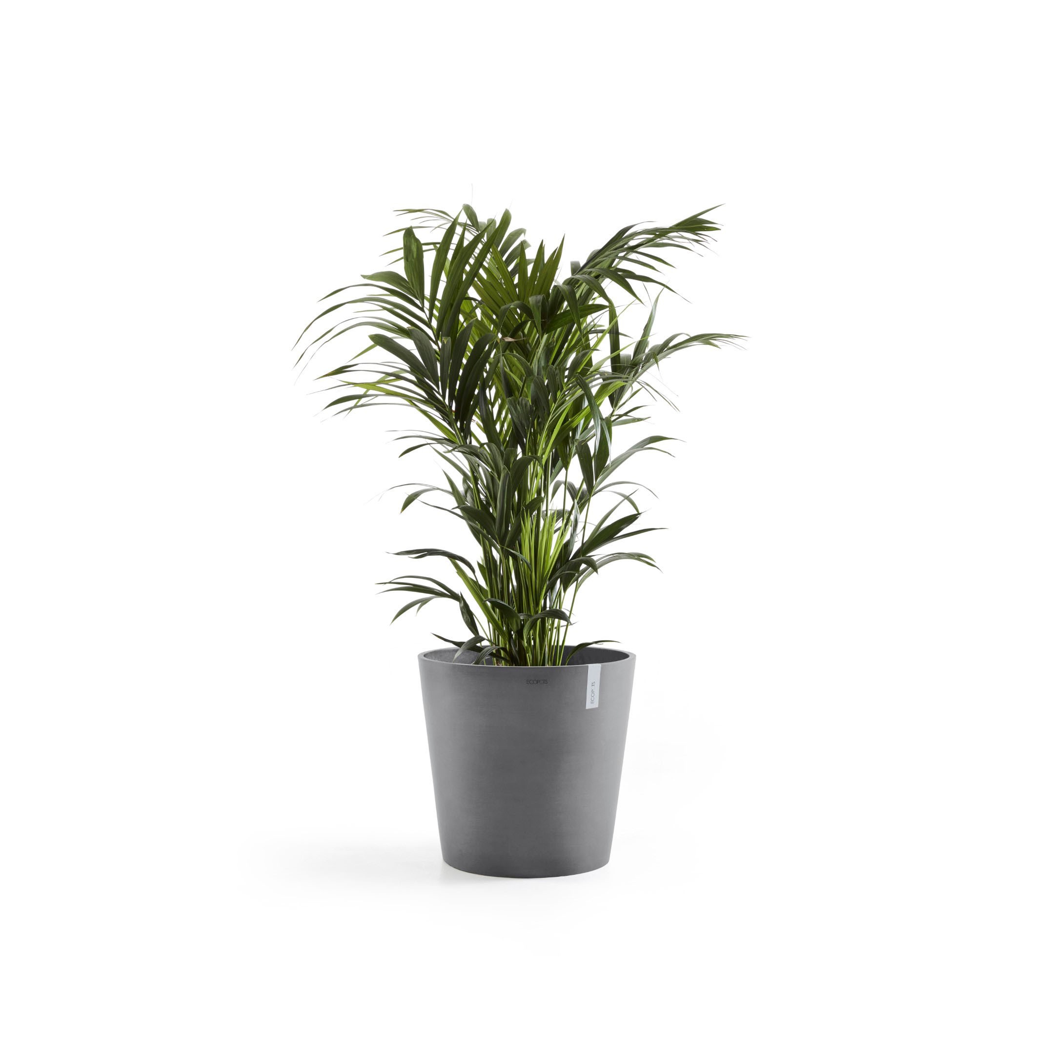 ECOPOTS Blumentopf »Amsterdam«, ØxH: 50x43,8 cm