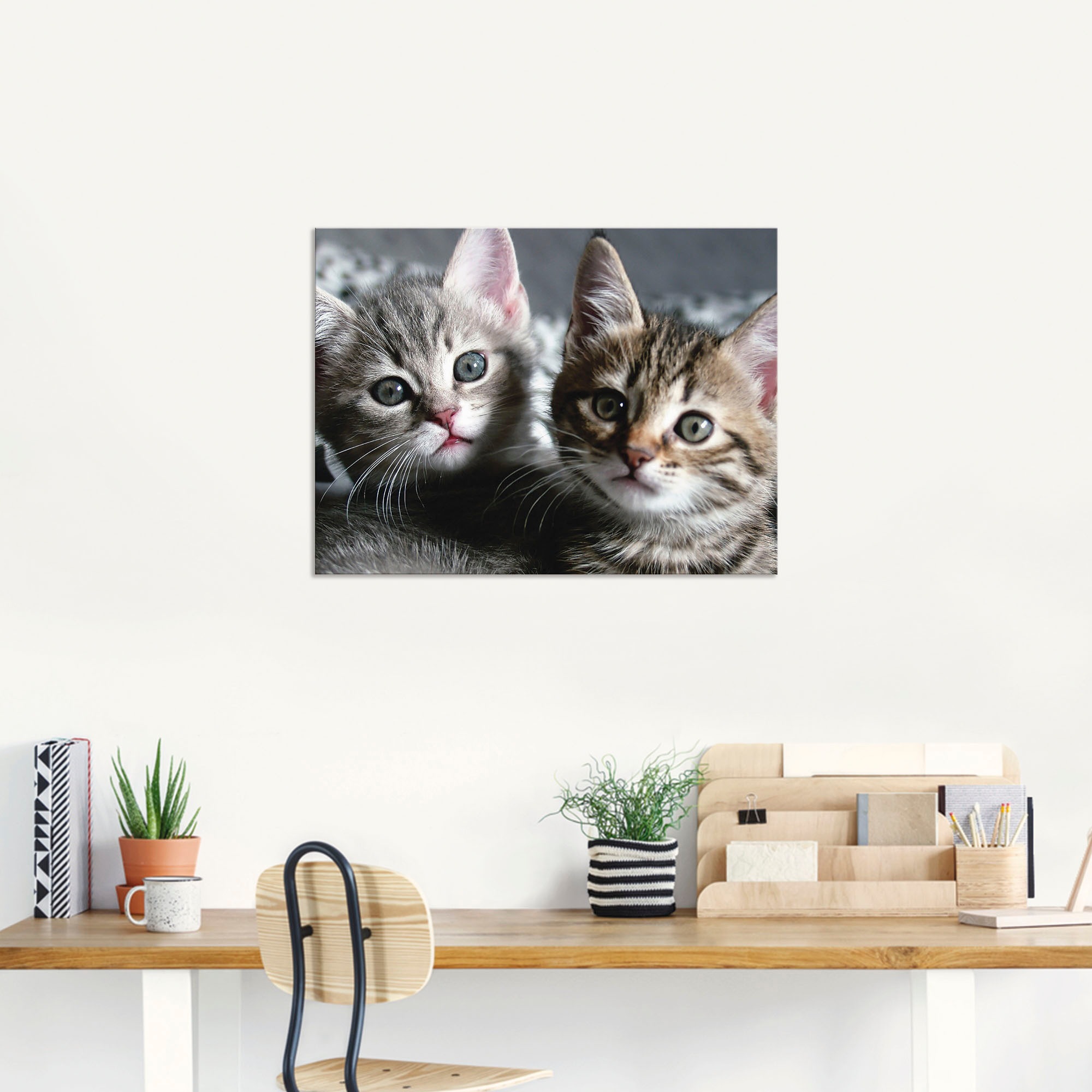 Artland Wandbild »Katze«, Haustiere, (1 St.), als Alubild, Outdoorbild, Leinwandbild, Poster, Wandaufkleber