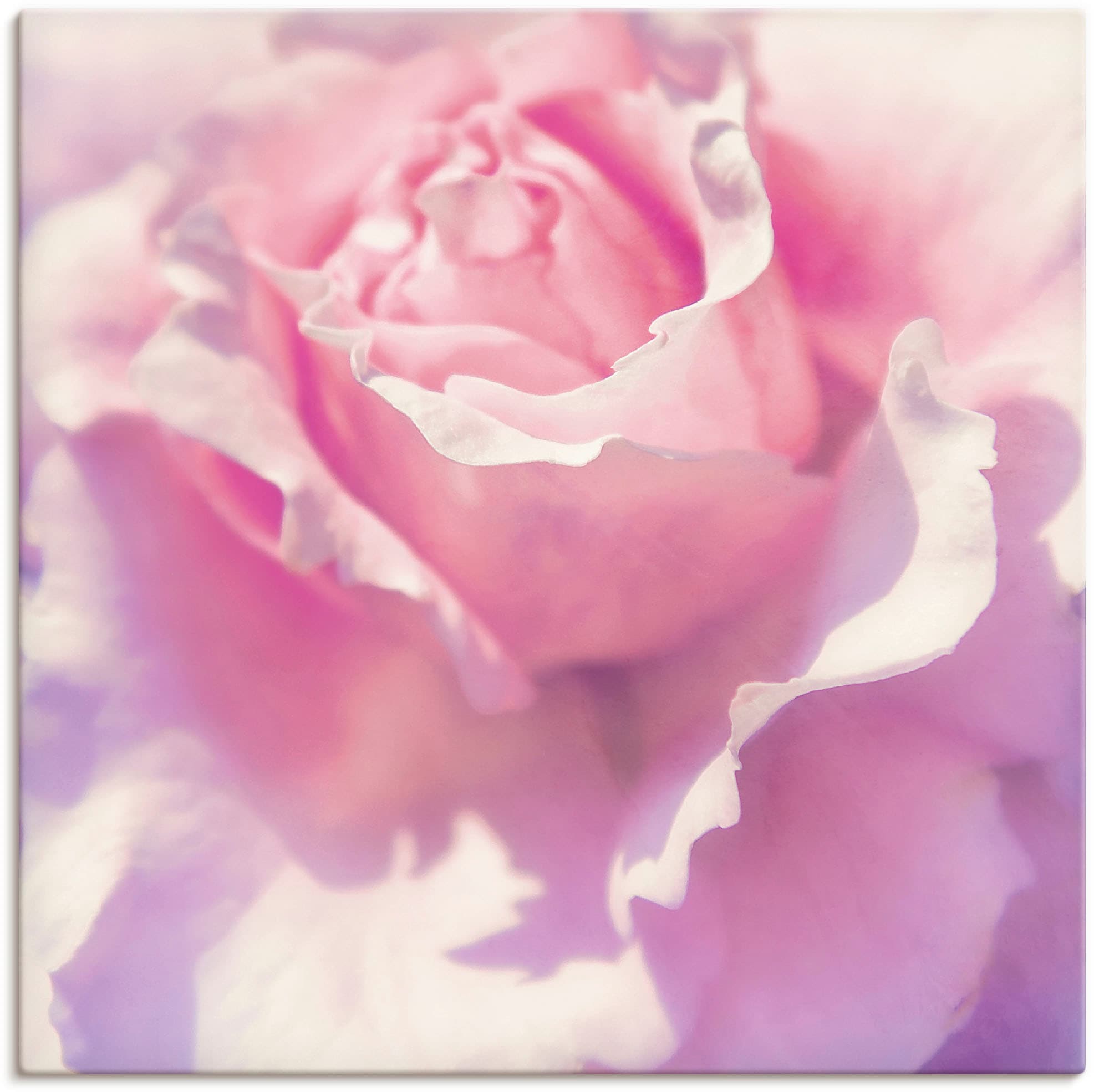 Artland Paveikslas »Rosa« Blumen (1 St.) kaip ...