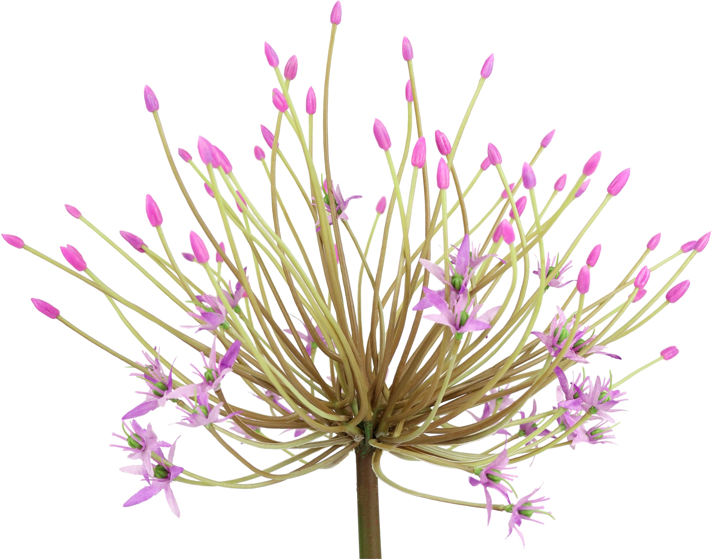 I.GE.A. Kunstblume »Allium Zierlauch«, Stielblume künstliche Blumen, 2er Set