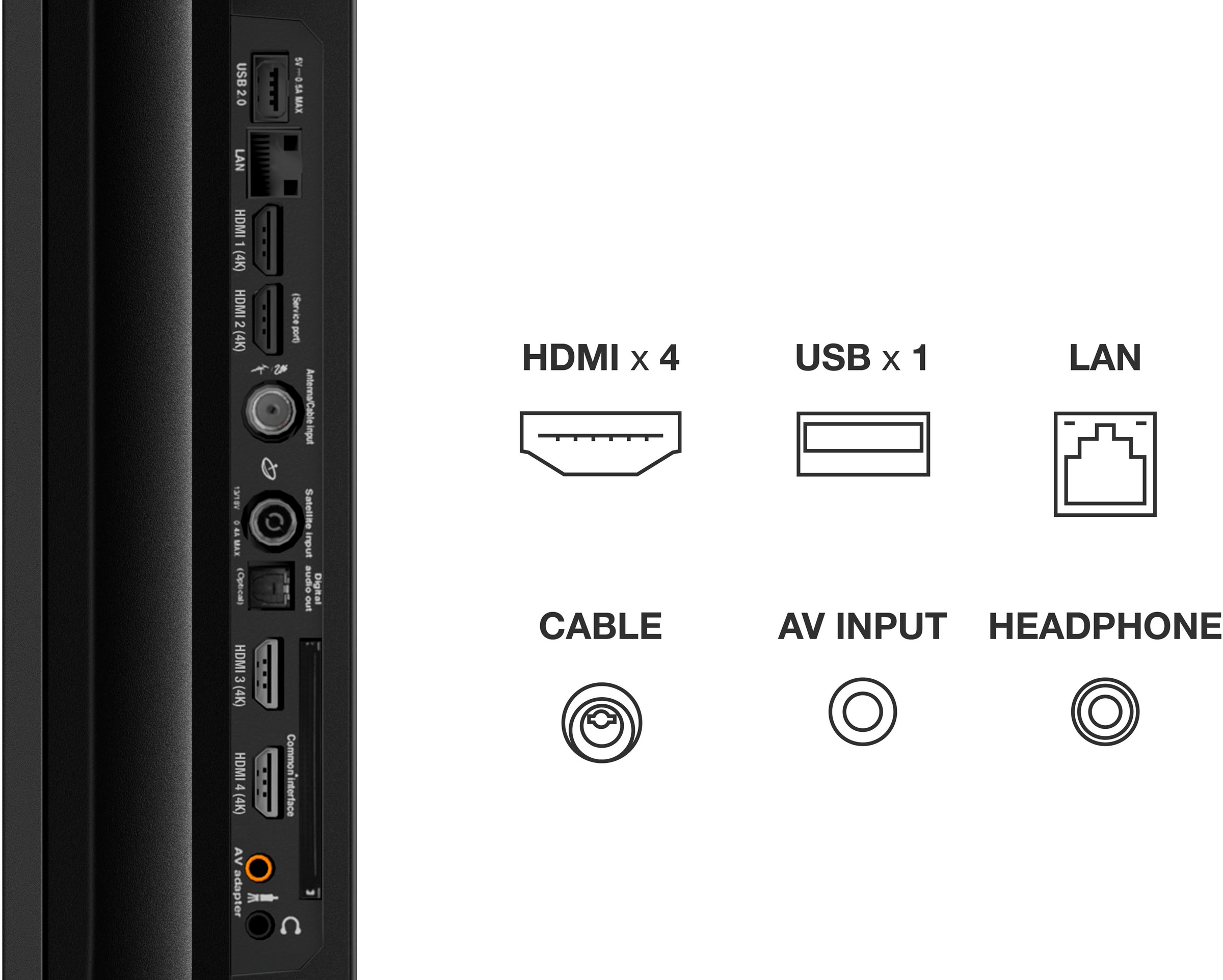 TCL QLED Mini LED-Fernseher »75C835X2«, 189 cm/75 Zoll, 4K Ultra HD, Google TV-Smart-TV, 1500nits, HDR Extreme, Dolby Atmos, HDMI 2.1, ONKYO-Sound