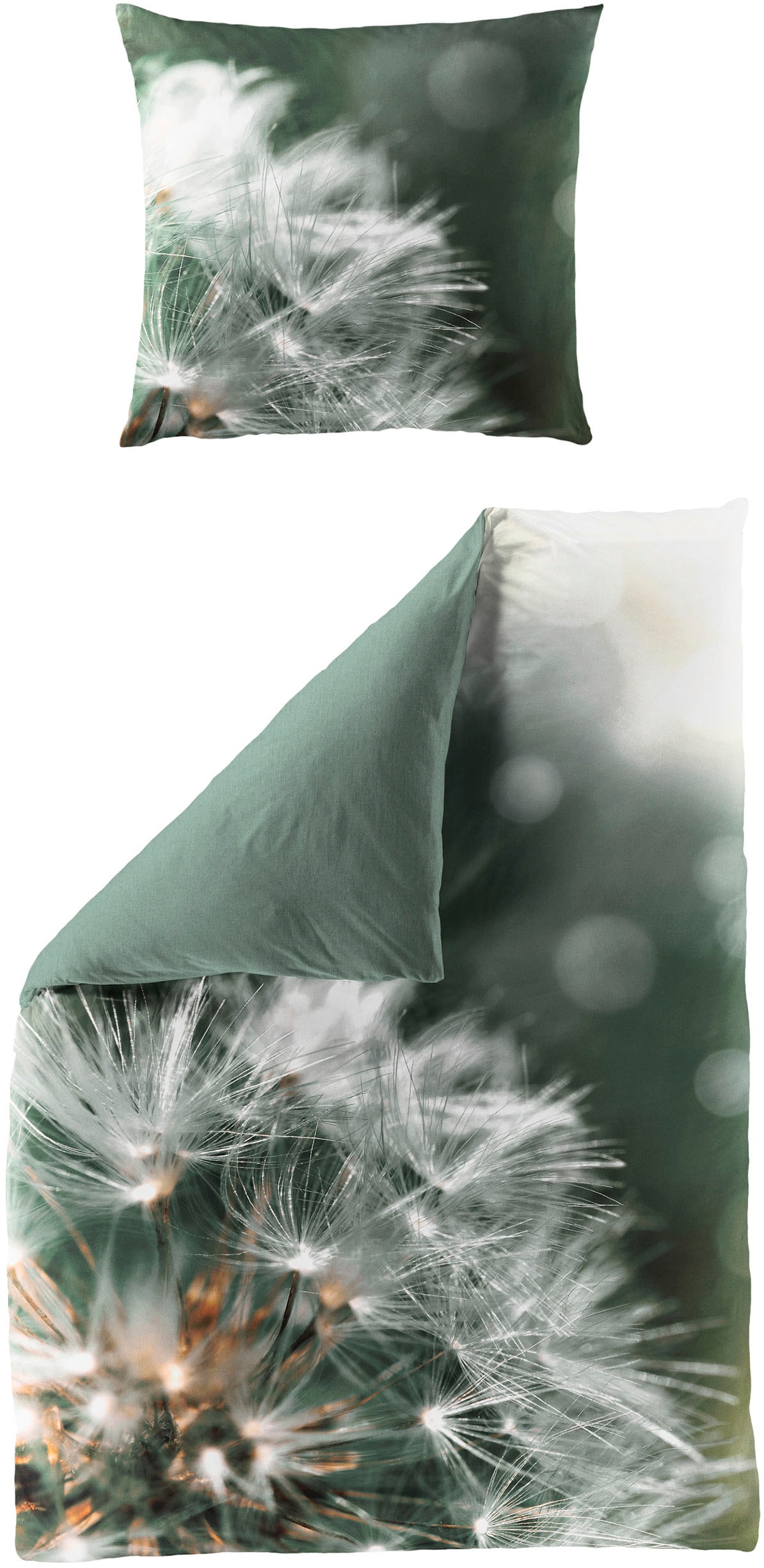 BIERBAUM Bettwäsche "5084" 2 Stk. Mako-Satin, 100 % Baumwolle, pflegeleicht günstig online kaufen